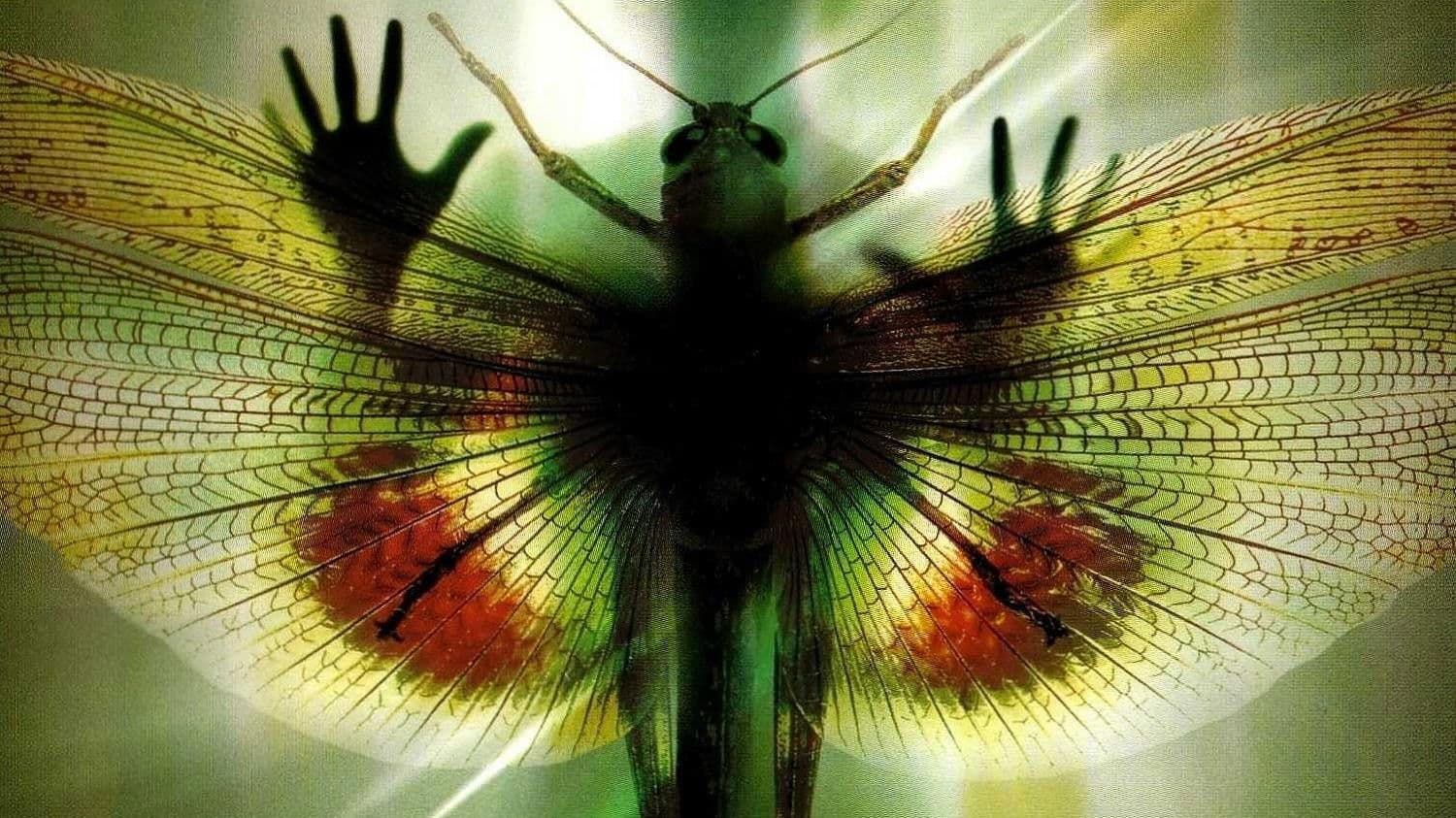 Poster backdrop for Threshold