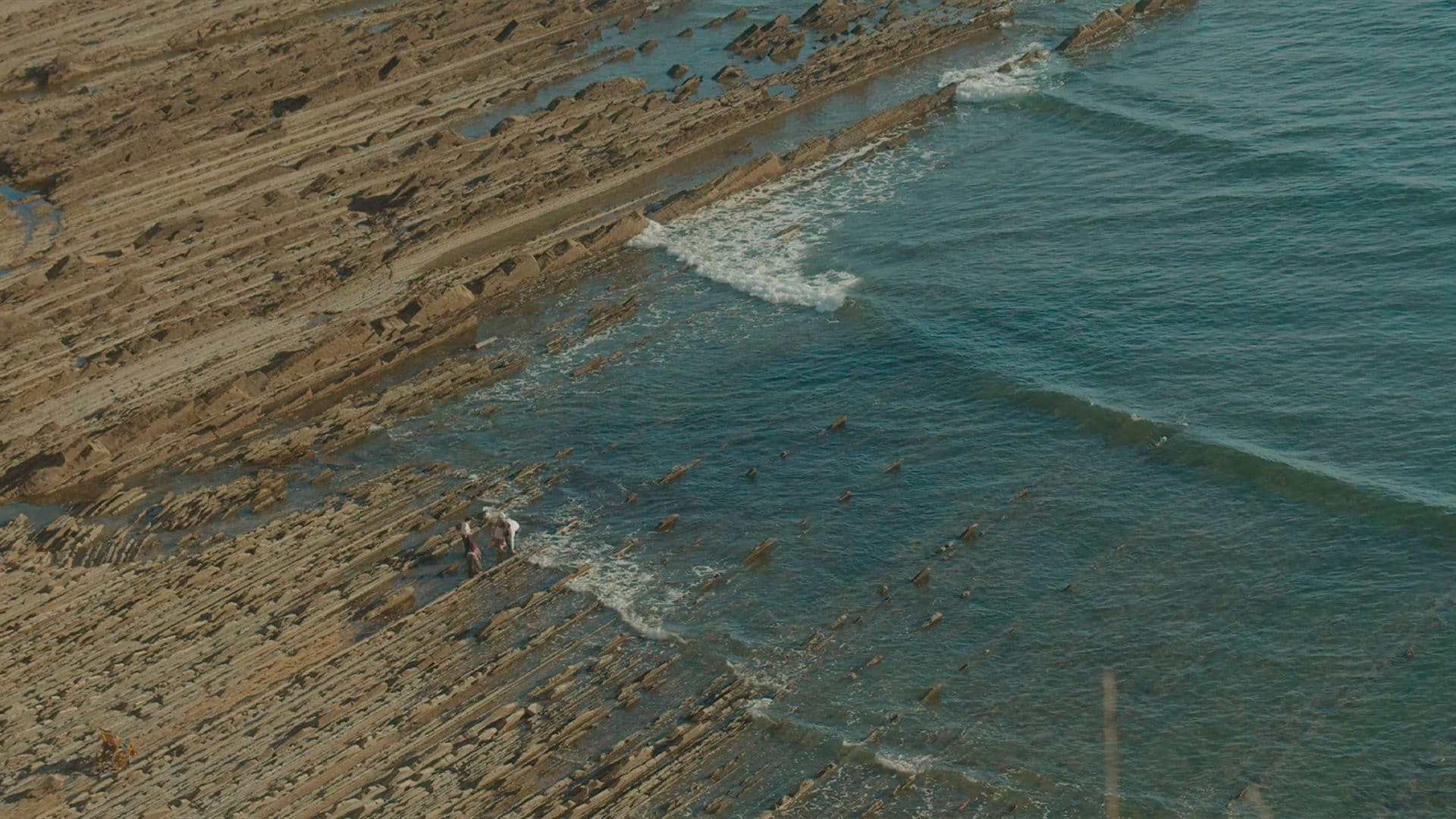 Poster backdrop for The Disease Has Taken the Farmhouse