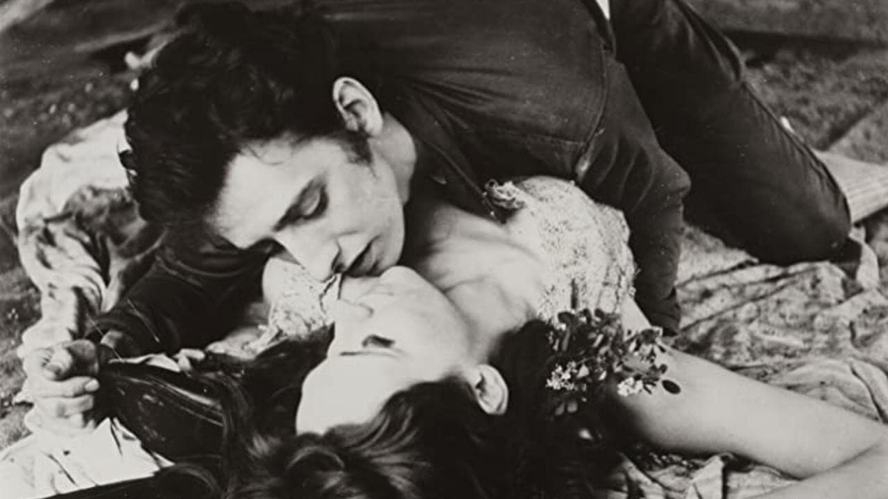 Poster backdrop for The Degenerates