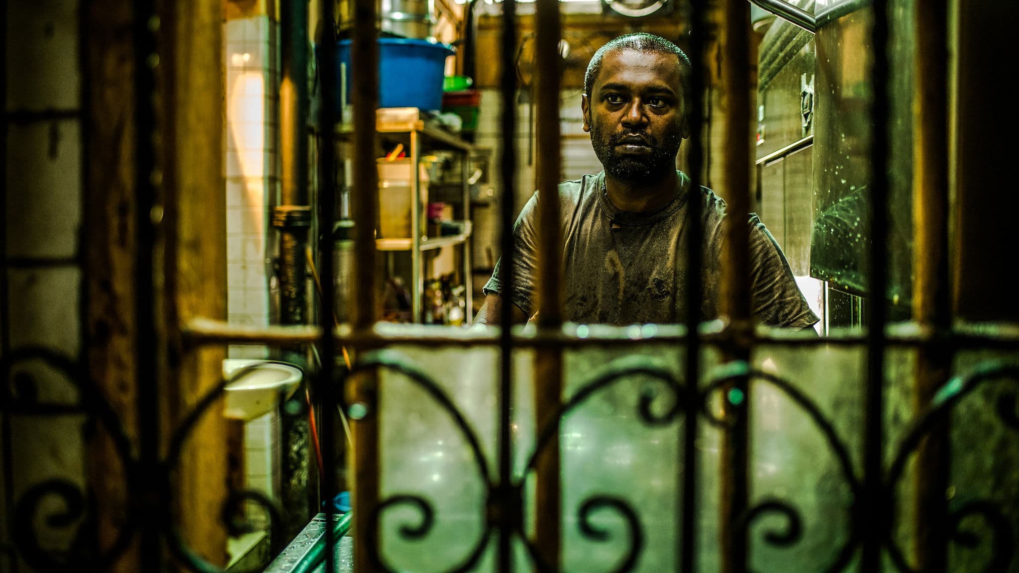 Poster backdrop for A Yellow Bird