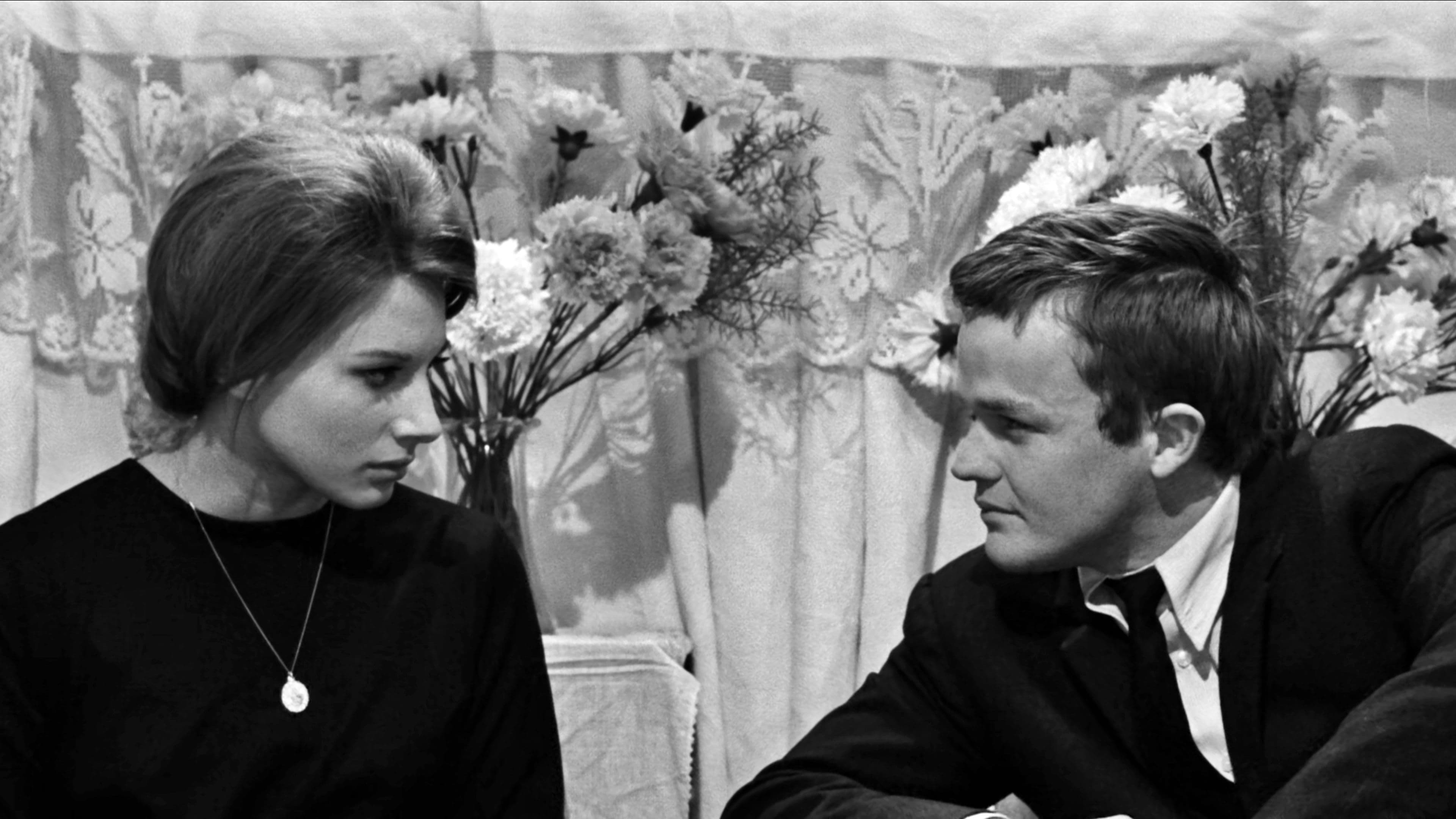 Poster backdrop for Fists in the Pocket