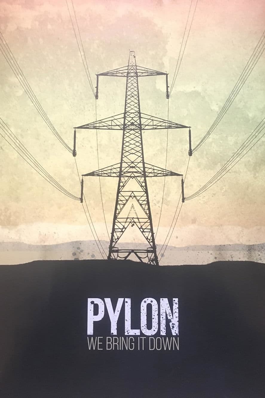Poster backdrop for Pylon