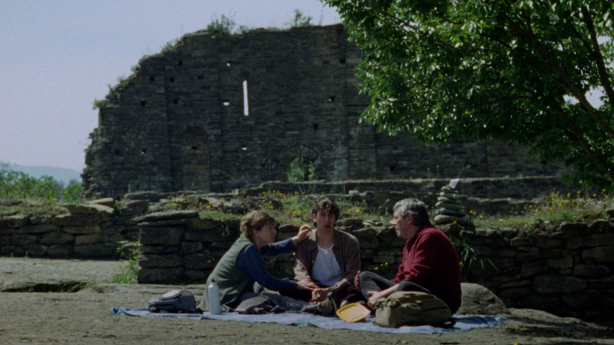 Poster backdrop for Vestigis