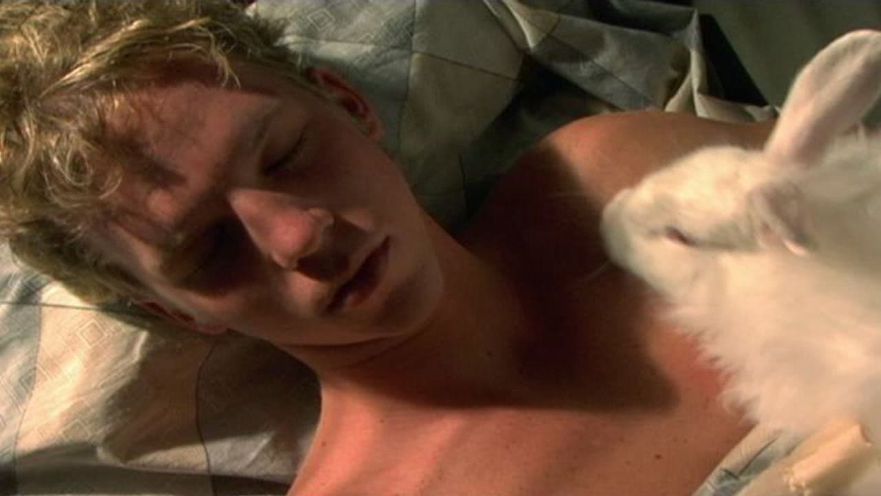 Poster backdrop for Angora Ranch