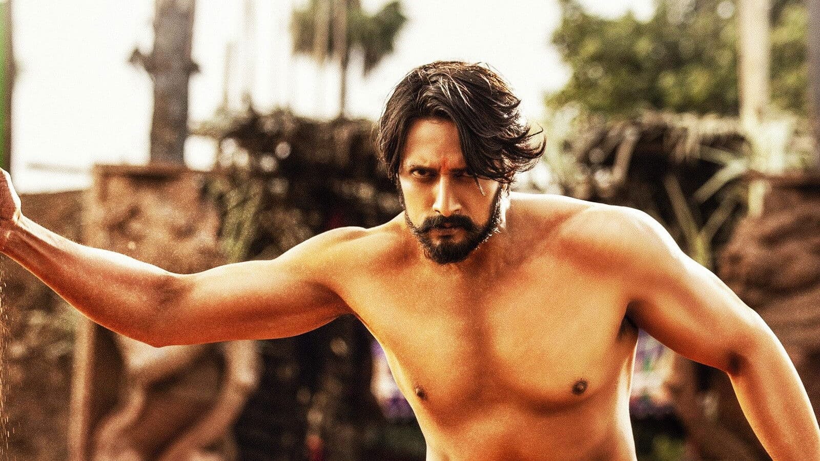 Poster backdrop for Pailwaan