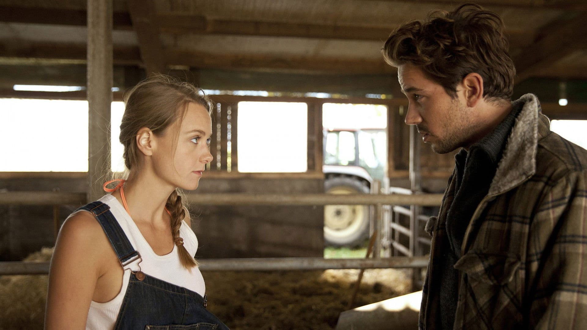 Poster backdrop for Die Büffel sind los!