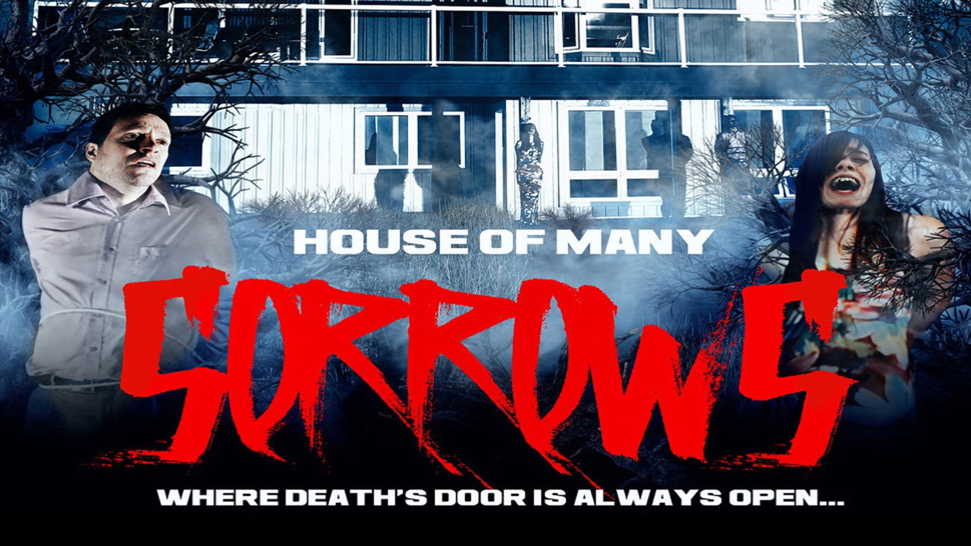 Poster backdrop for House of Many Sorrows