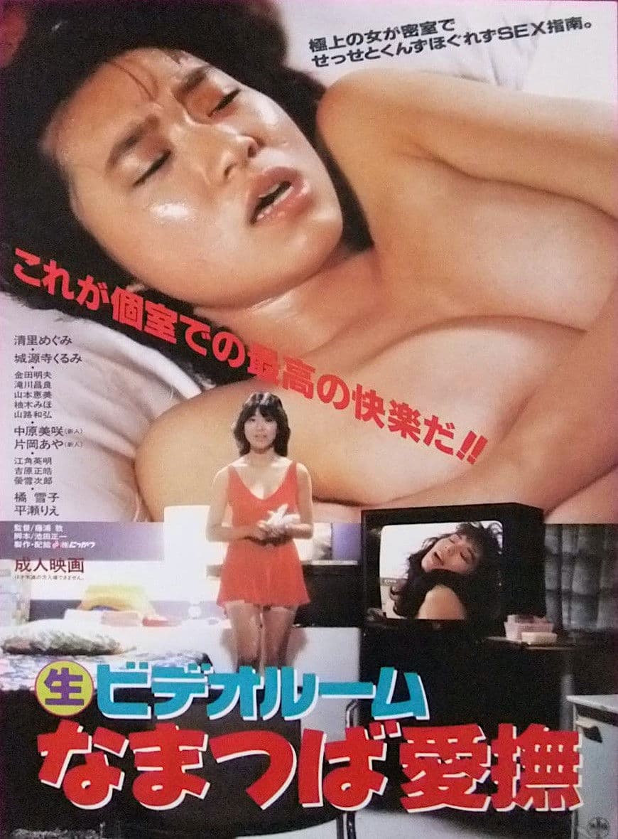 Poster backdrop for (Marunama) Video Room: Namatsuba Aibu