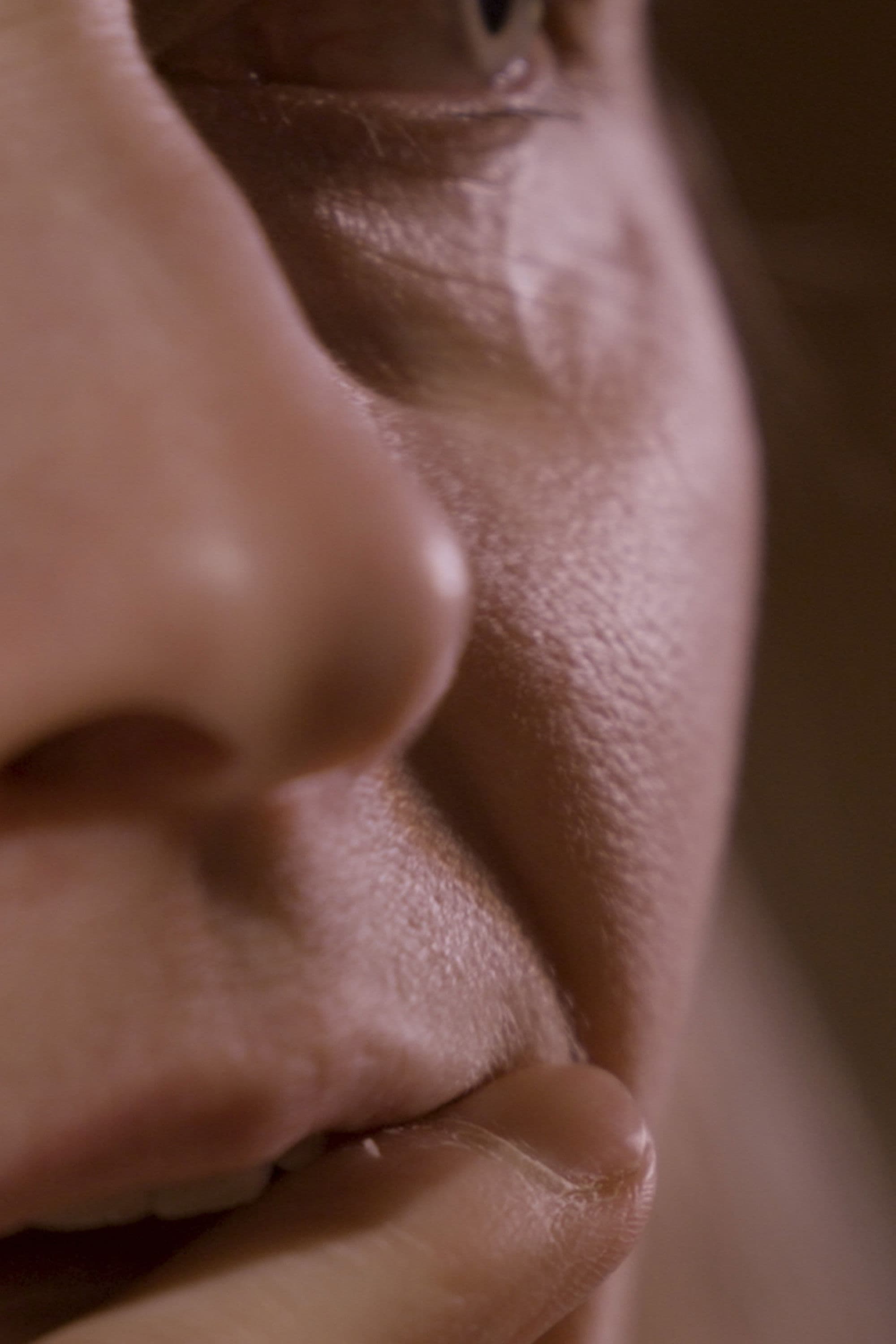 Poster backdrop for Speed Dating