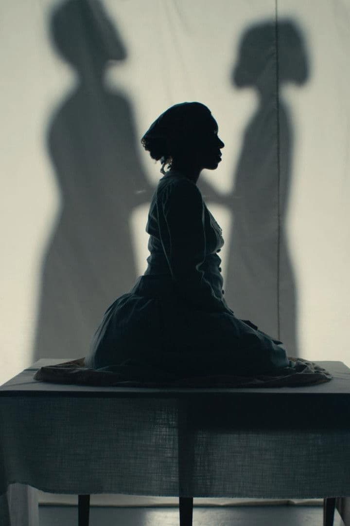 Poster backdrop for Bone Black: Midwives vs. the South