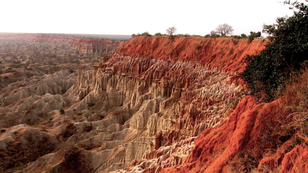 Poster backdrop for O Miradouro da Lua