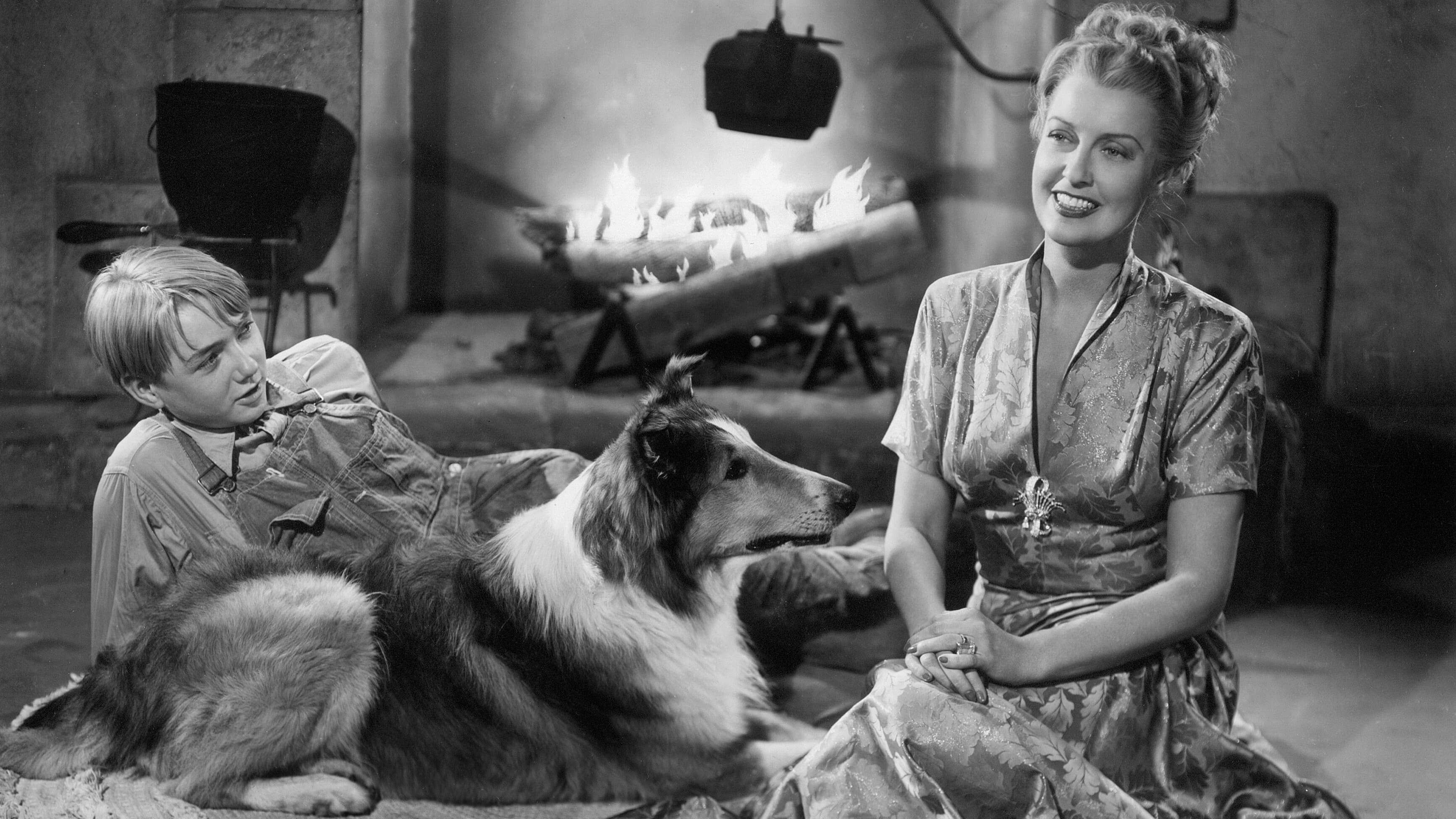 Poster backdrop for The Sun Comes Up