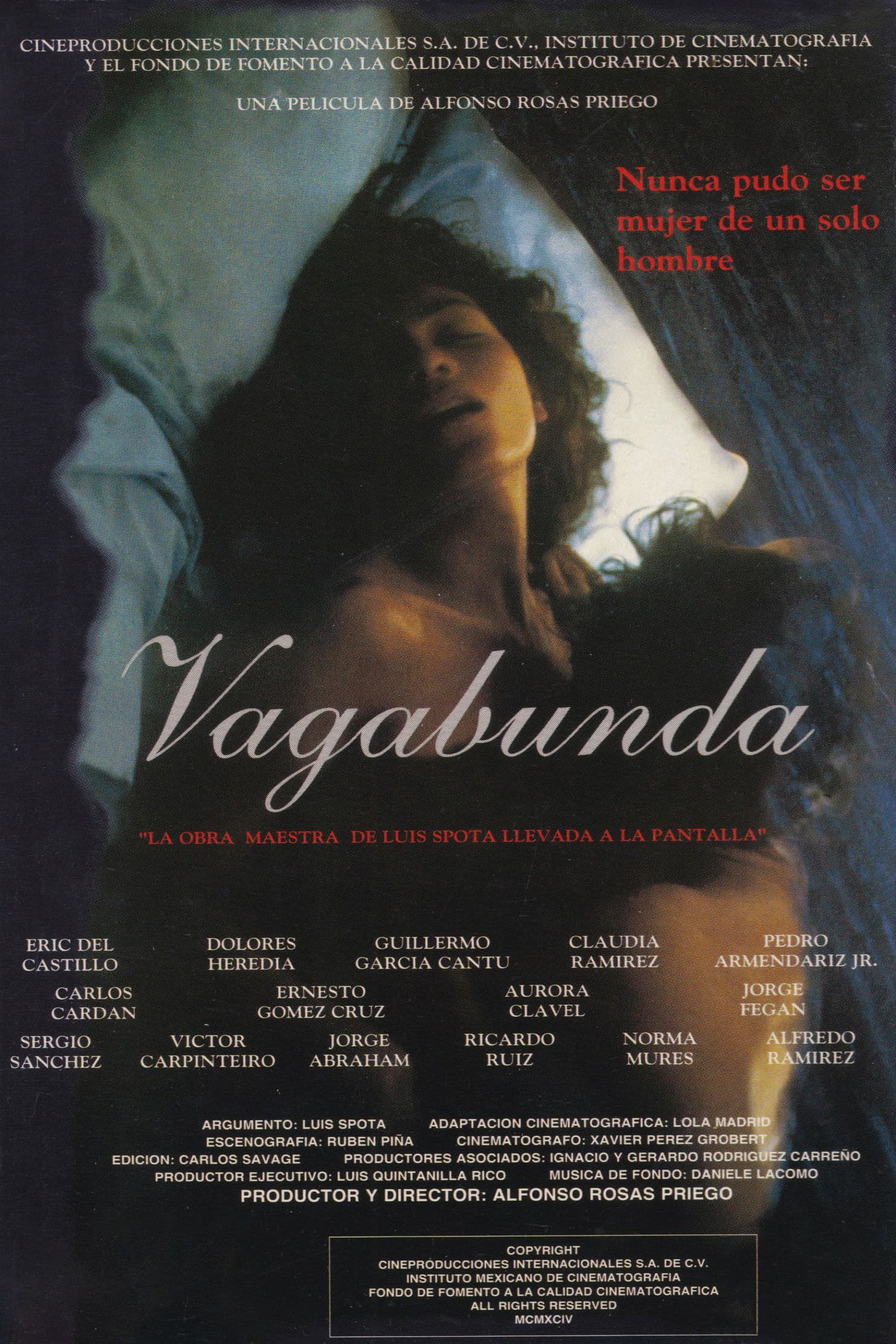 Poster backdrop for Vagabunda