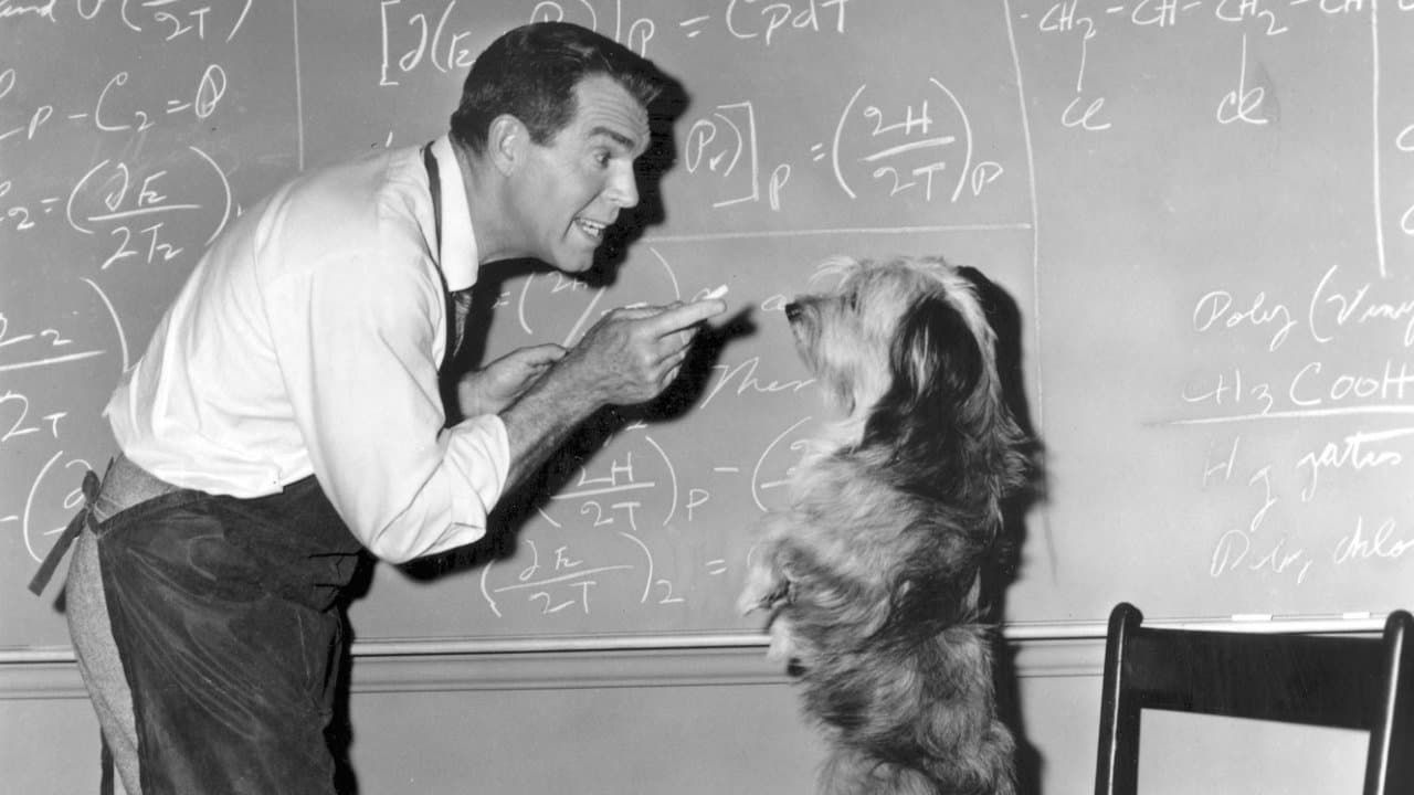 Poster backdrop for The Absent-Minded Professor