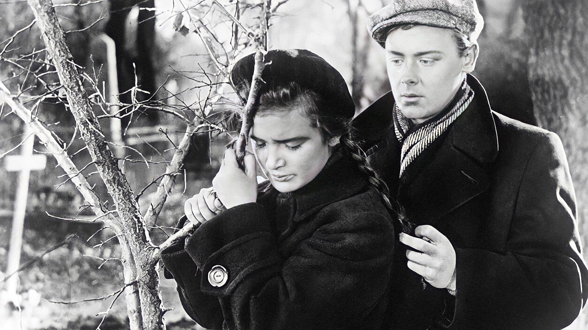 Poster backdrop for A Tale of First Love