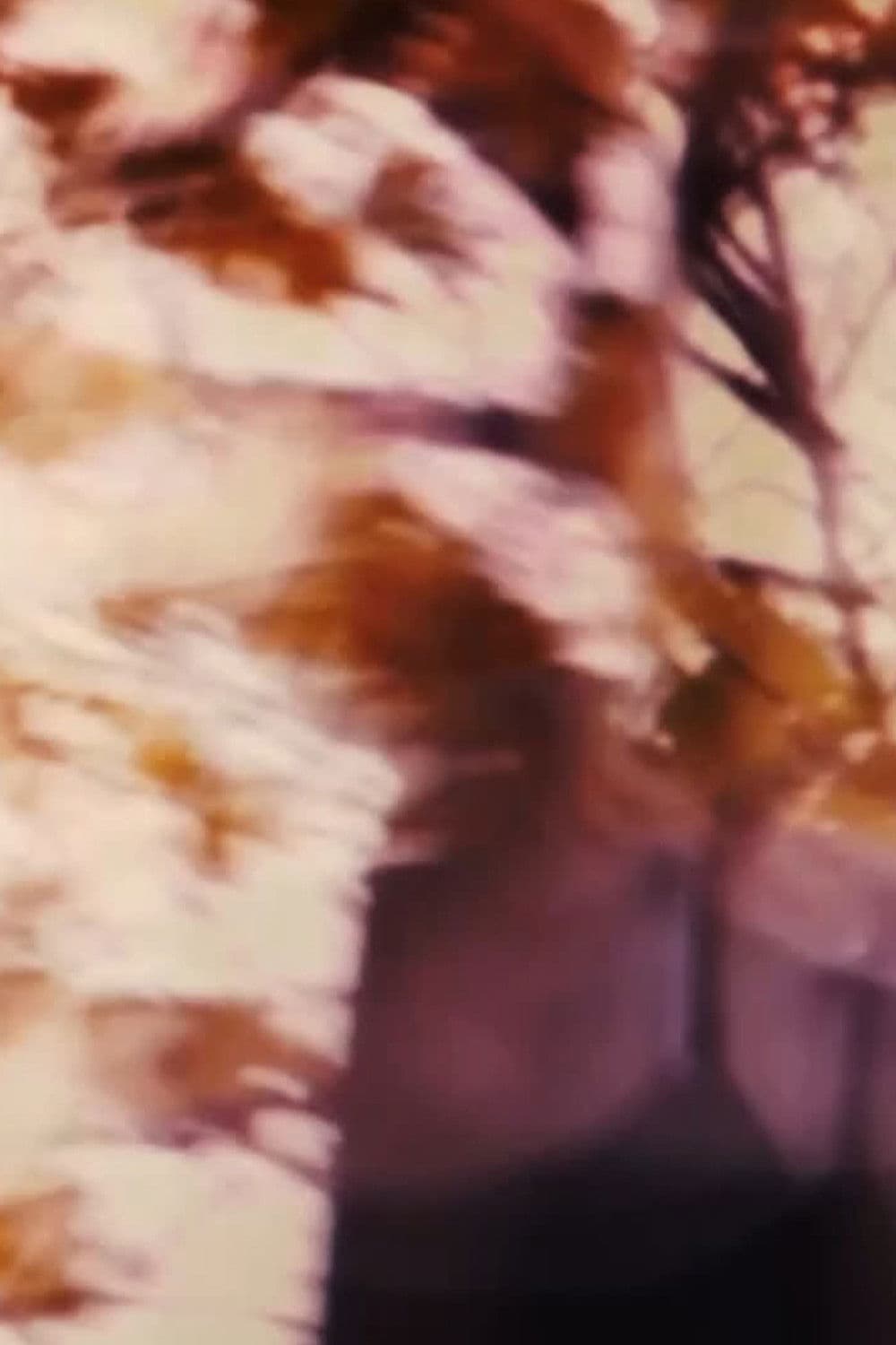 Poster backdrop for The Driveways of People's Houses