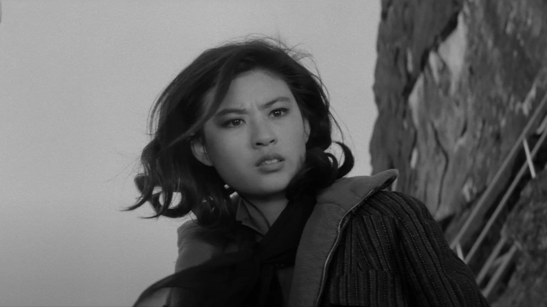 Poster backdrop for The Starting Point