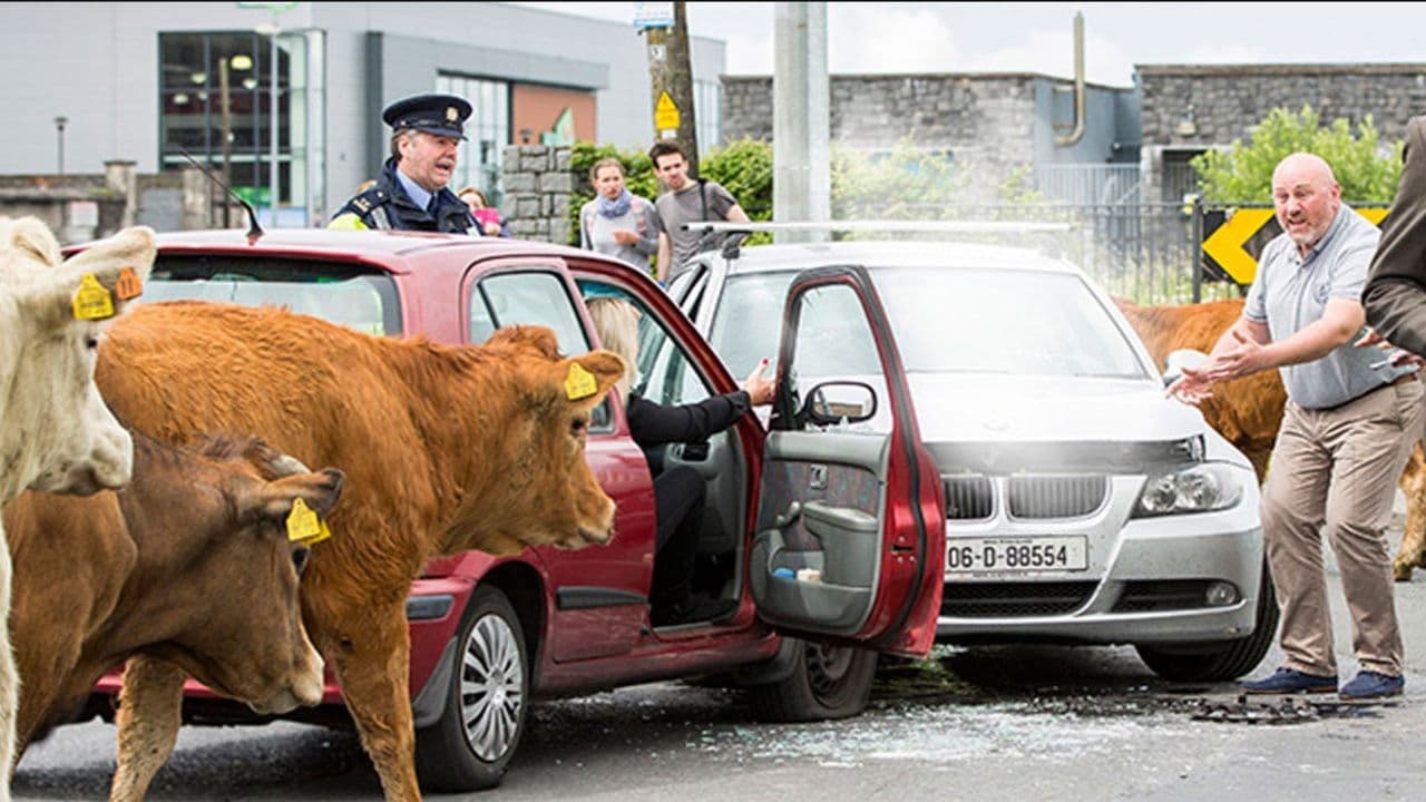 Poster backdrop for Halal Daddy