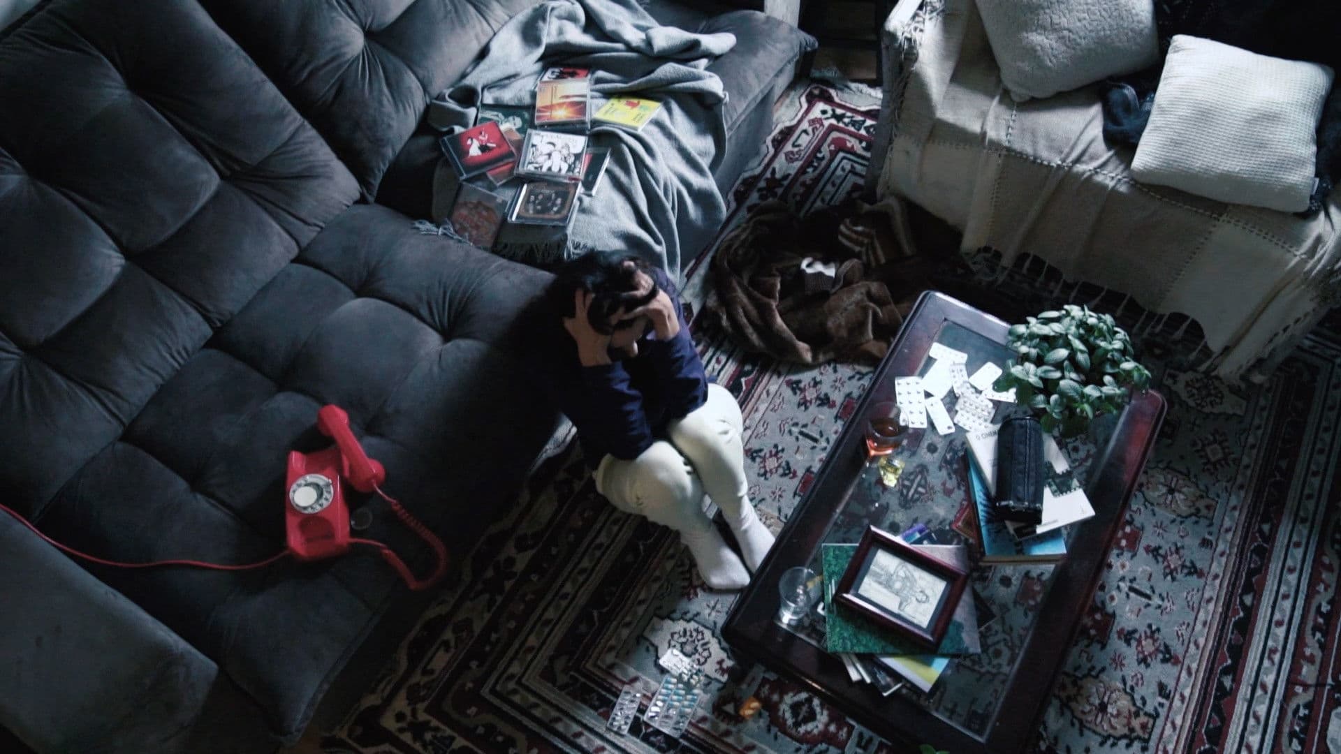 Poster backdrop for O Que Aconteceu com Catarina