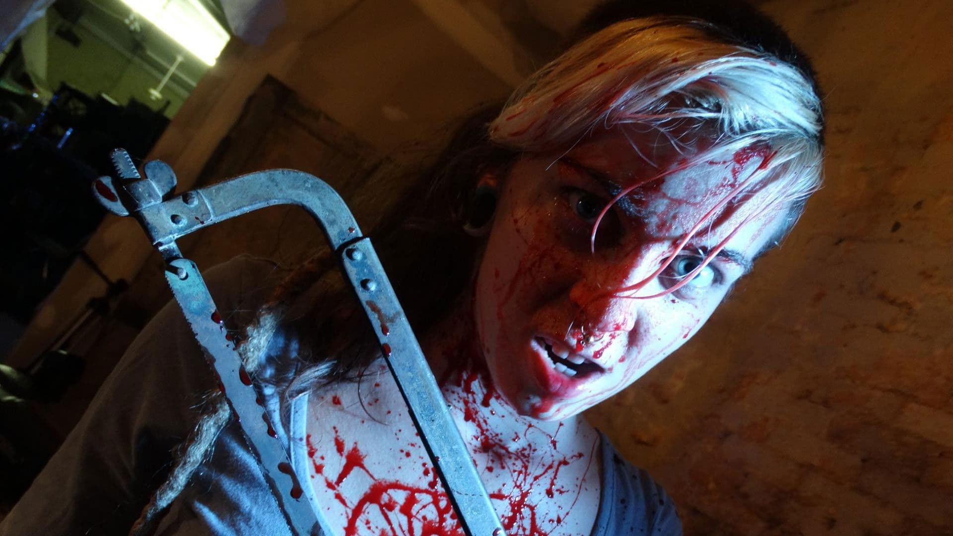 Poster backdrop for Hooker with a Hacksaw