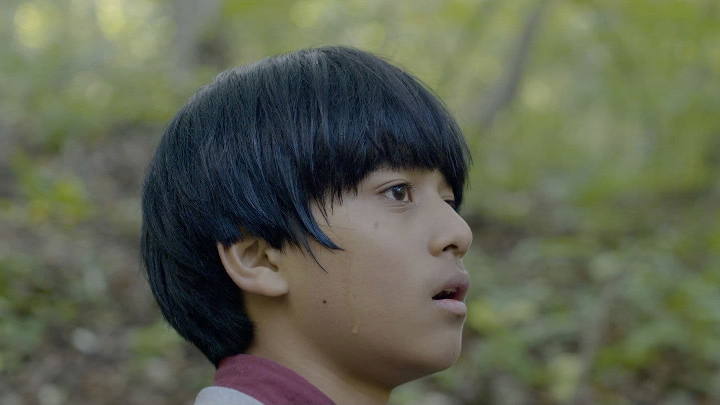 Poster backdrop for Night Light