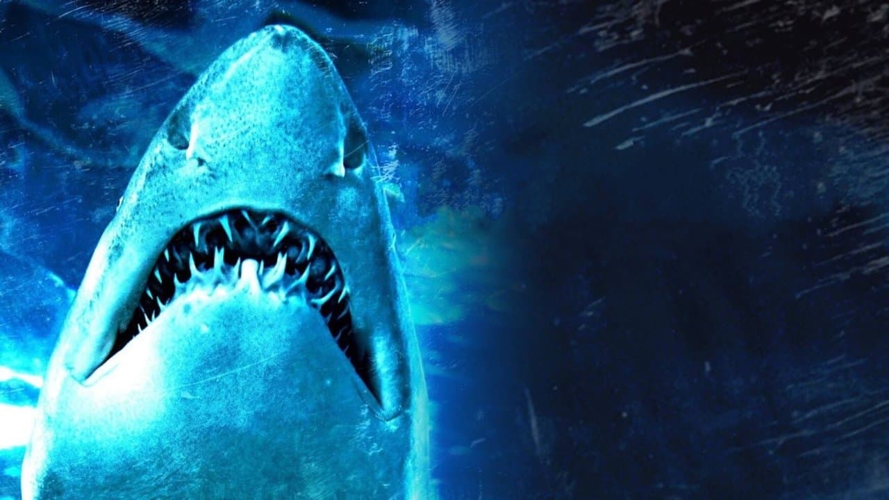 Poster backdrop for Dam Sharks!