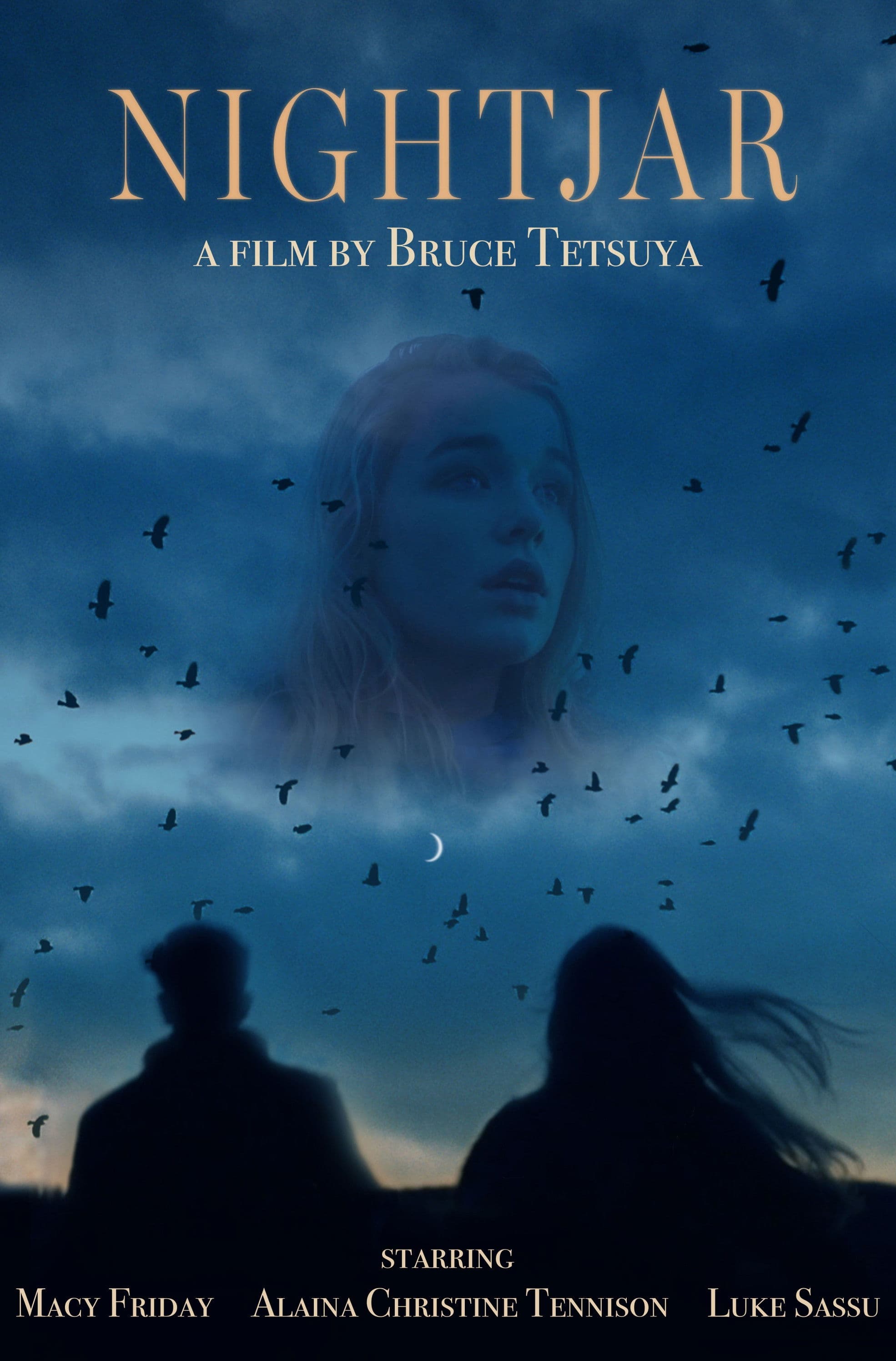 Poster backdrop for Nightjar