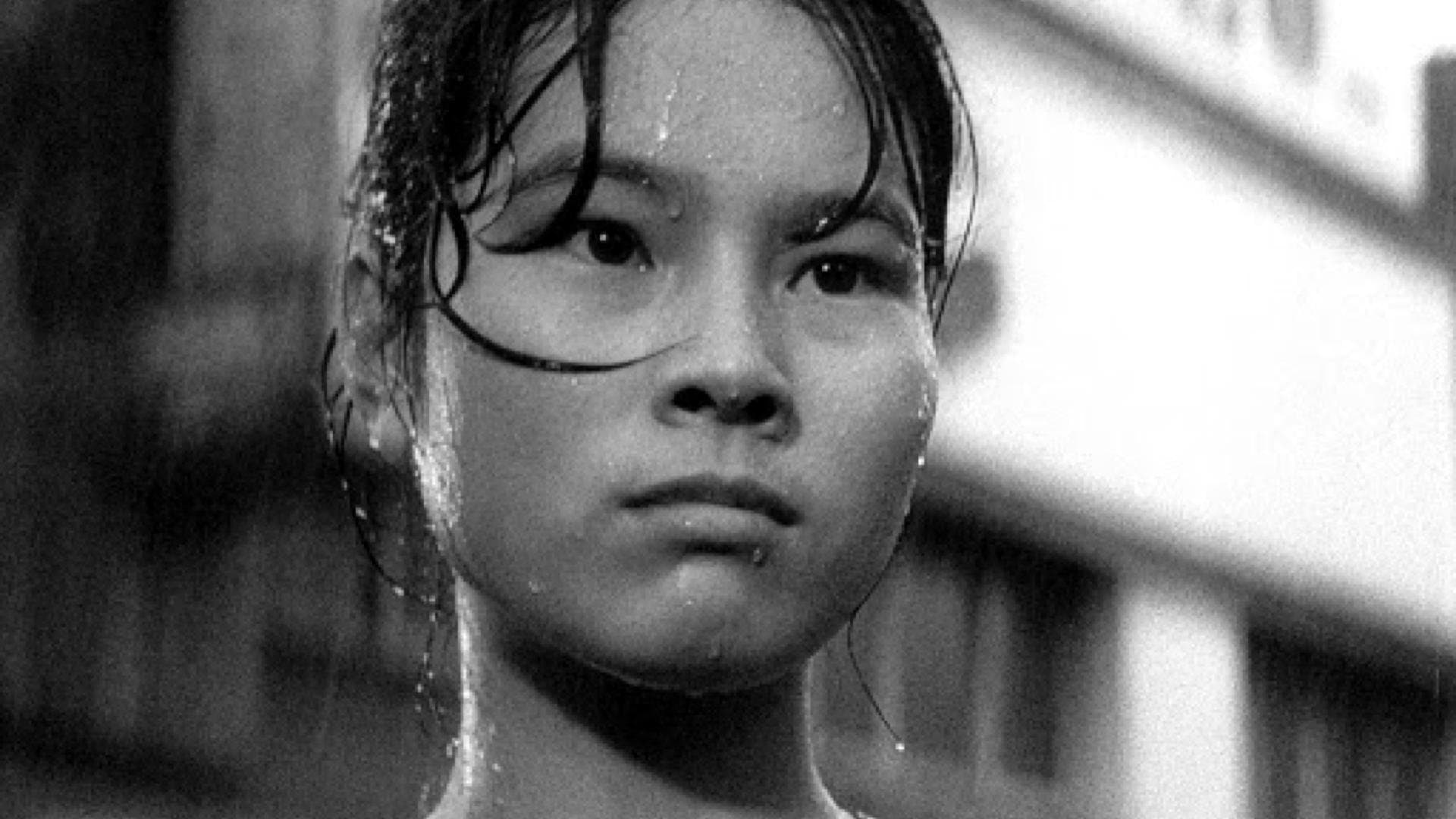 Poster backdrop for Pigs and Battleships