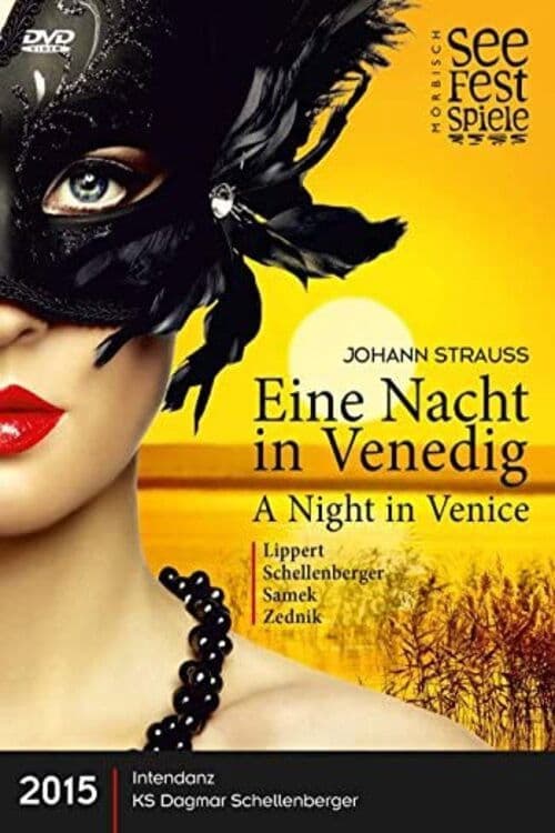 Poster backdrop for Eine Nacht in Venedig