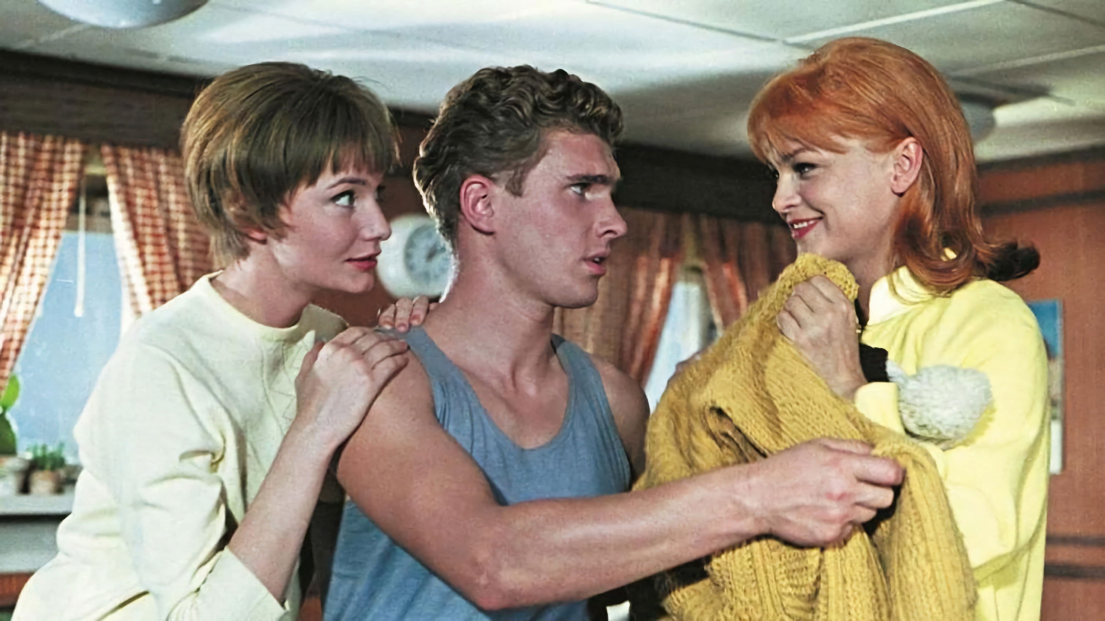 Poster backdrop for Reise ins Ehebett