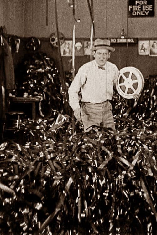 Poster backdrop for The House of Flickers