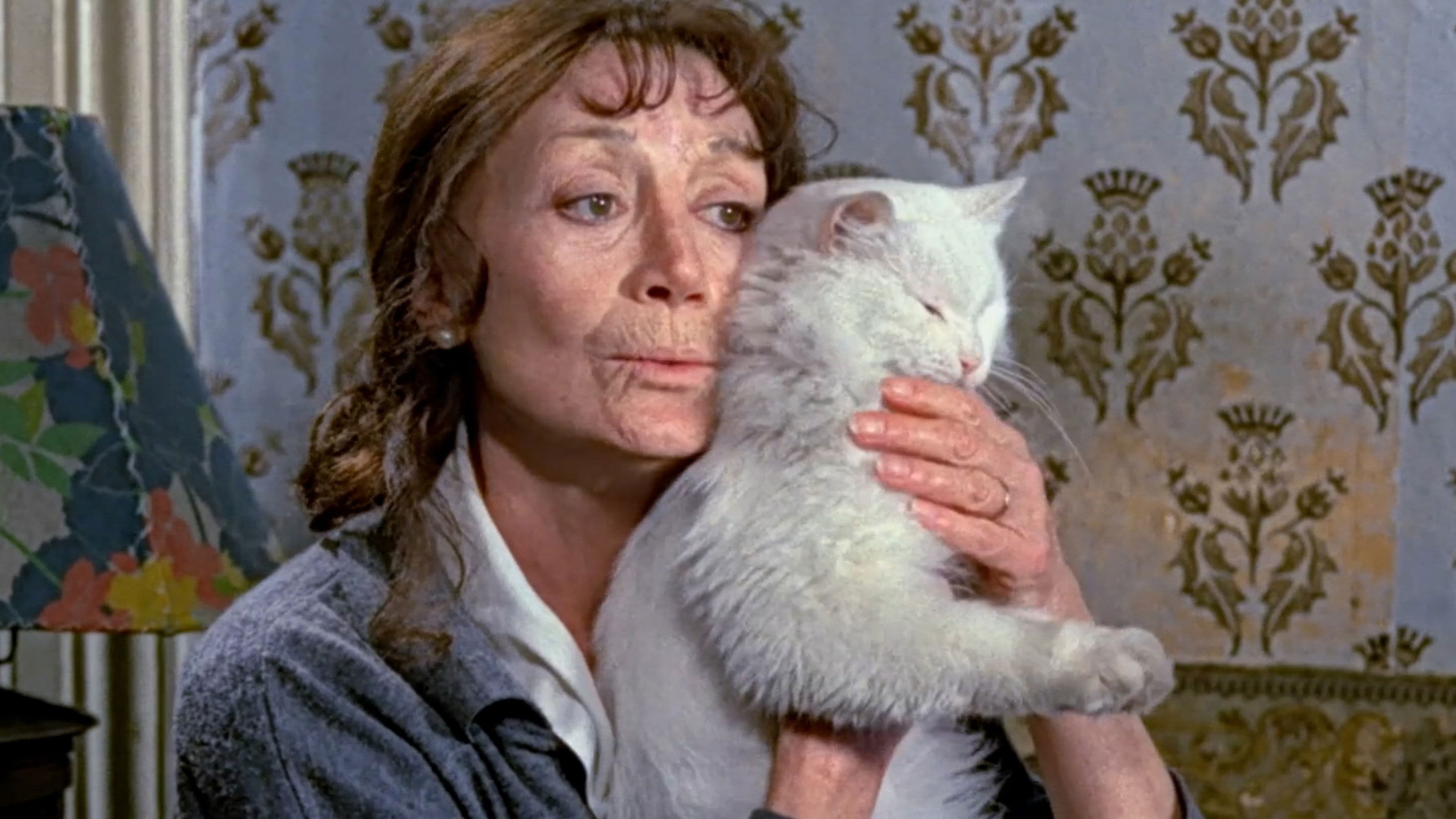 Poster backdrop for Madame