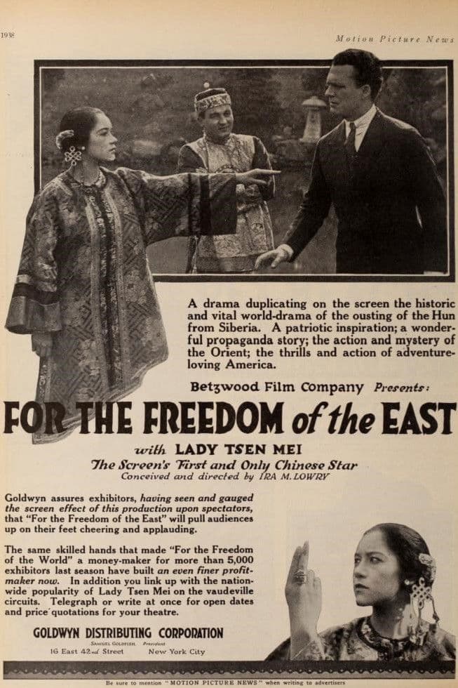 Poster backdrop for For the Freedom of the East