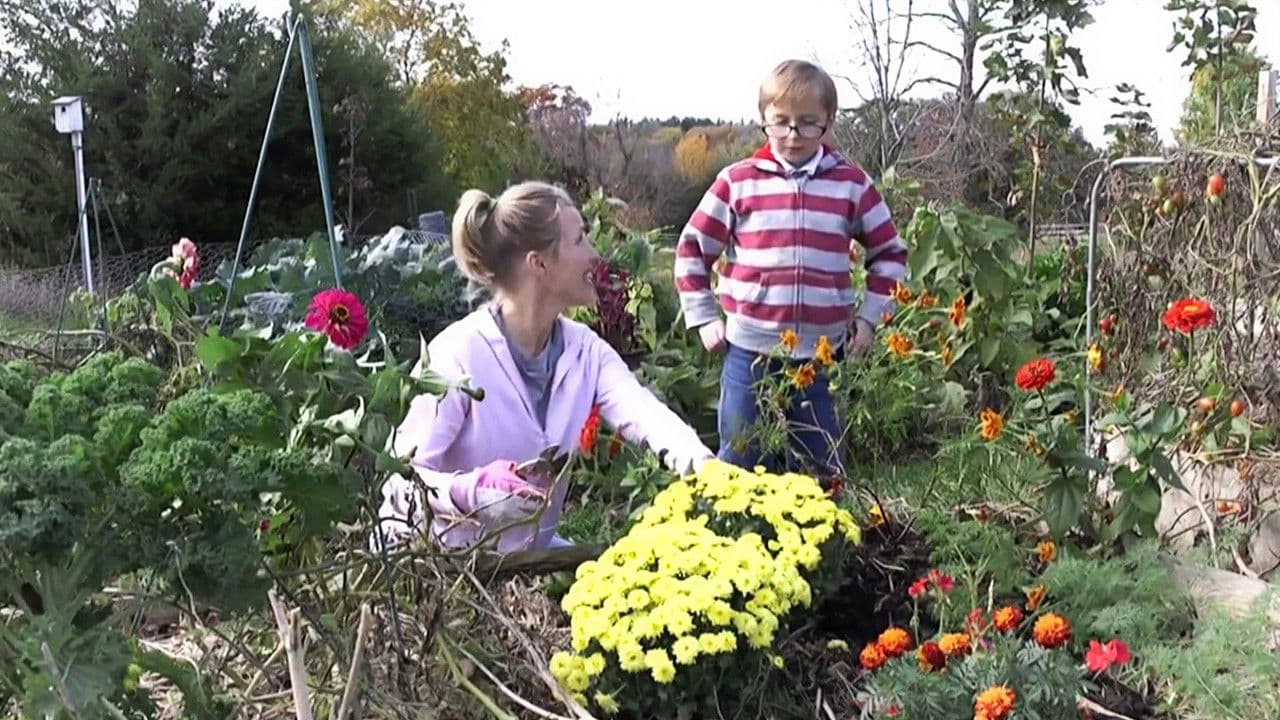 Poster backdrop for The Open Door