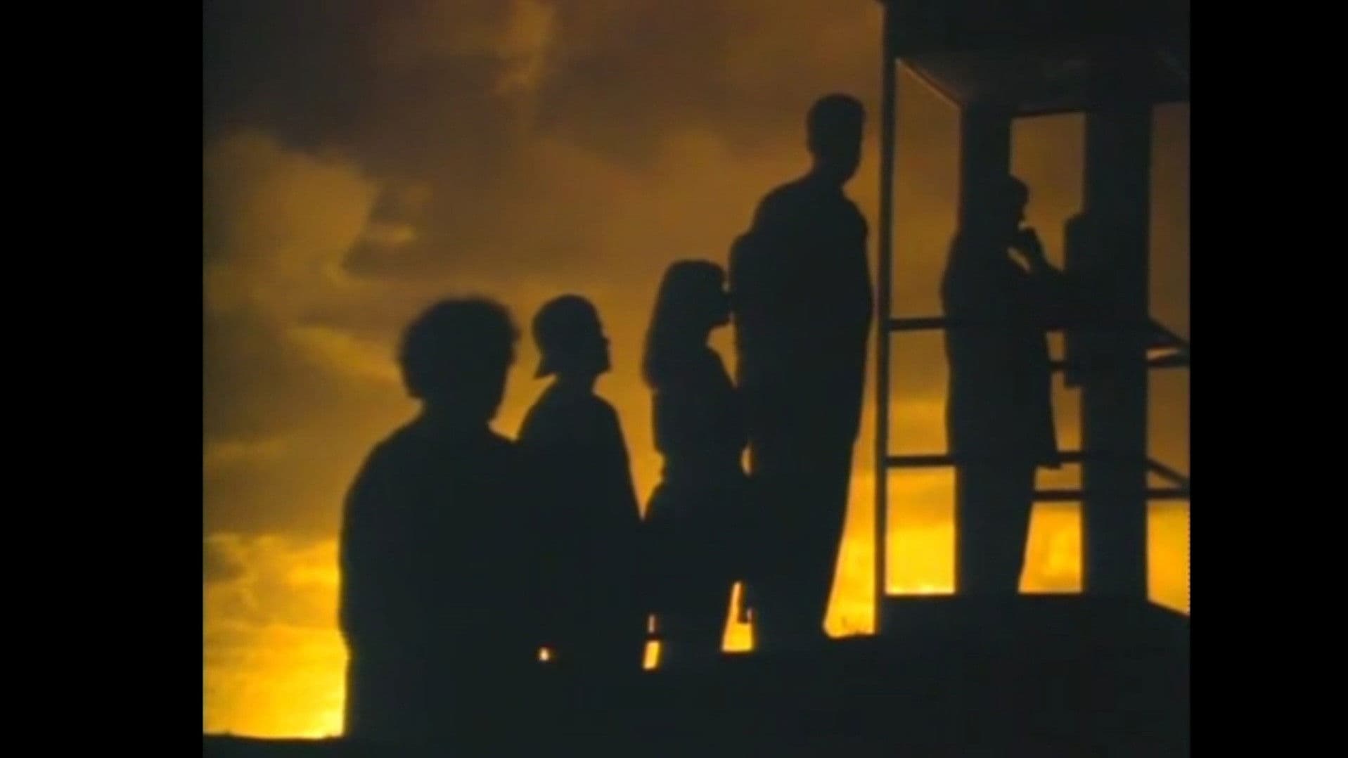 Poster backdrop for Mr. Petrified Forrest