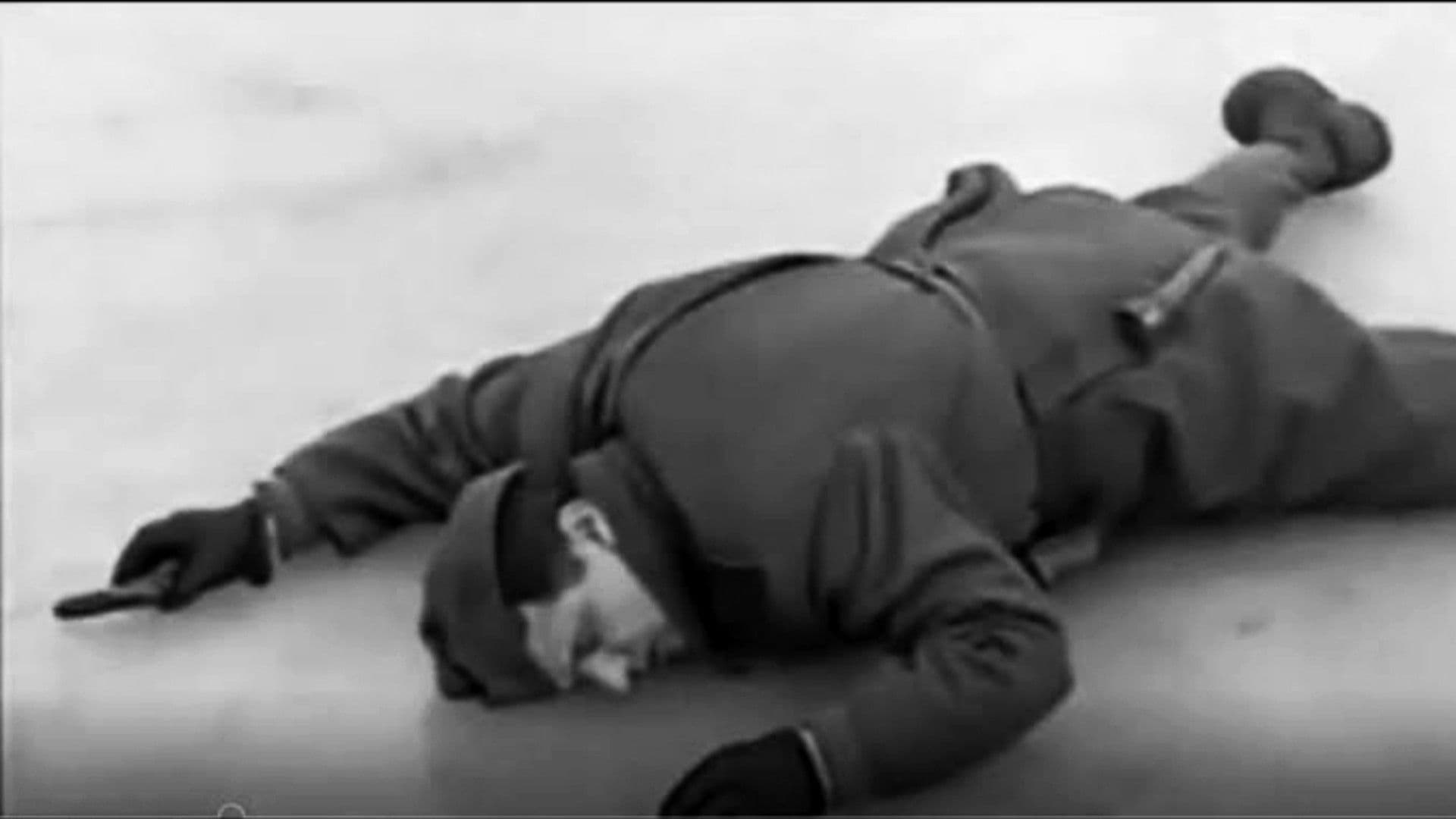 Poster backdrop for Cold Days