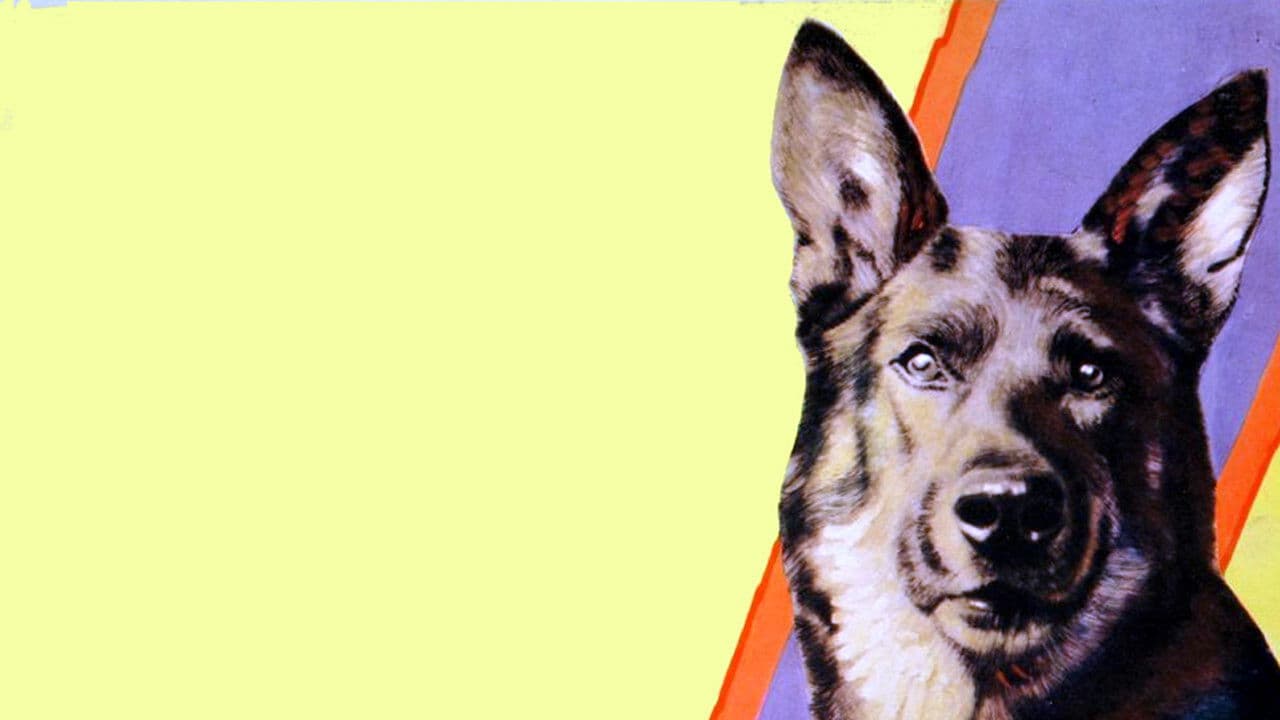 Poster backdrop for On the Border