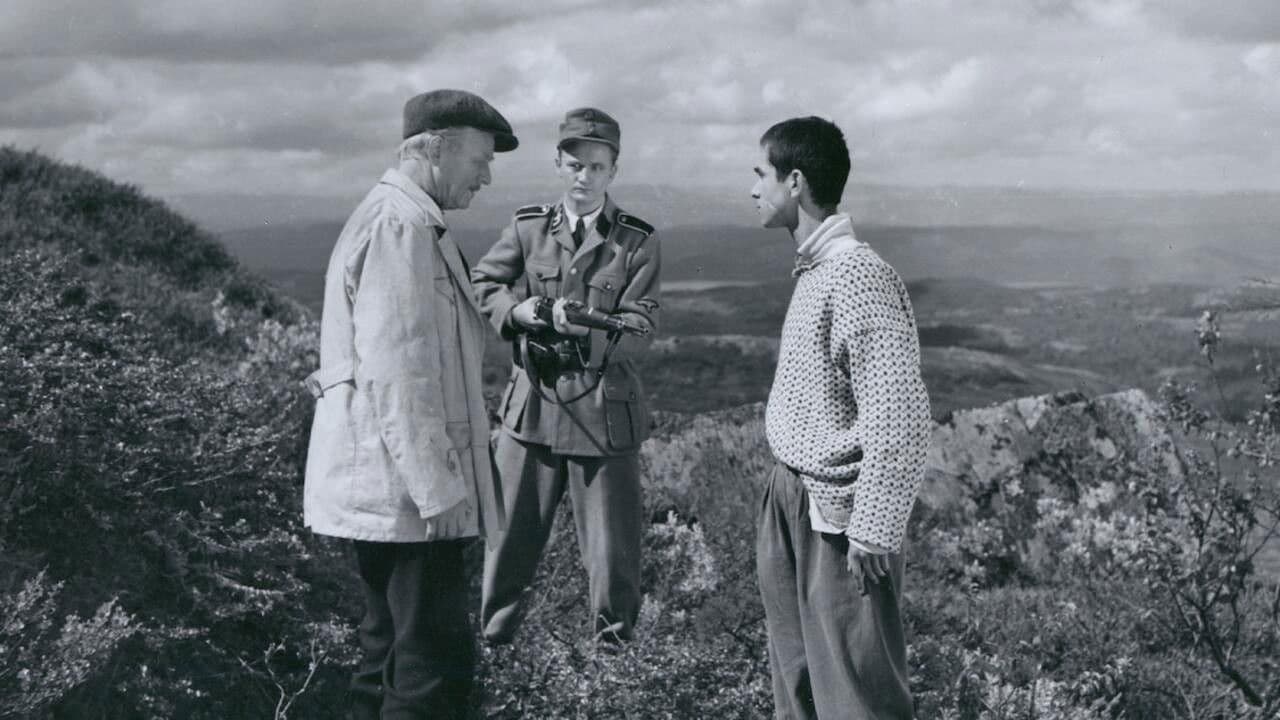 Poster backdrop for The Blood Road