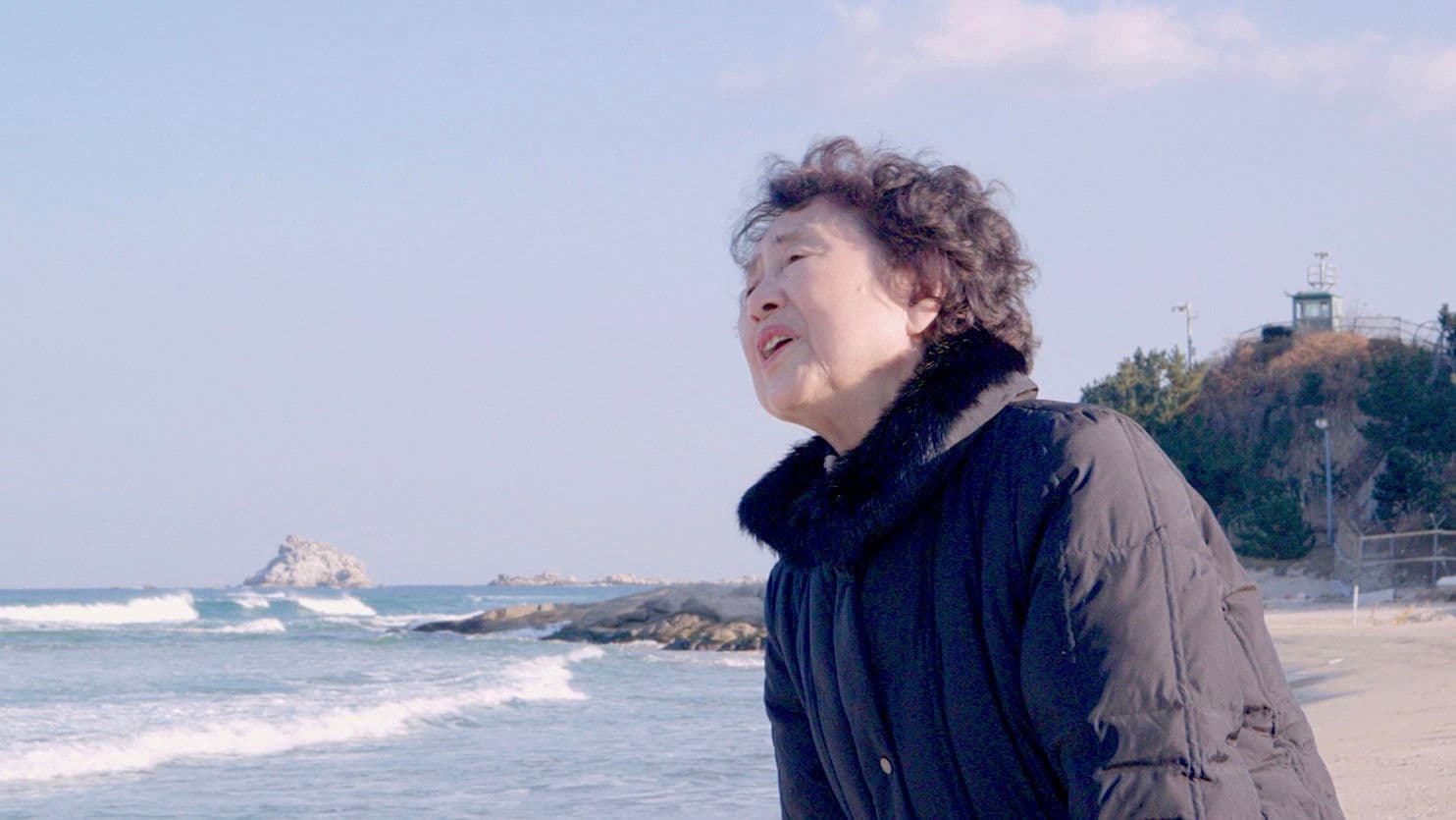 Poster backdrop for Forbidden Fatherland