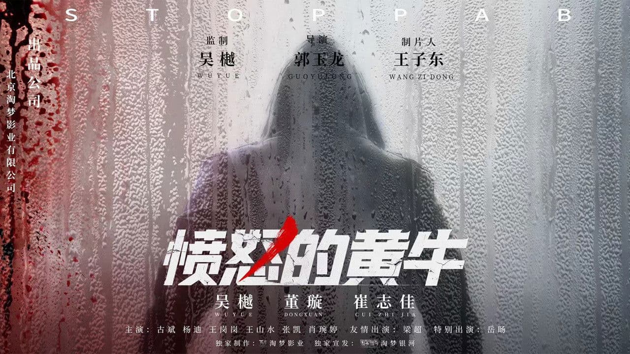 Poster backdrop for Angry Scalper