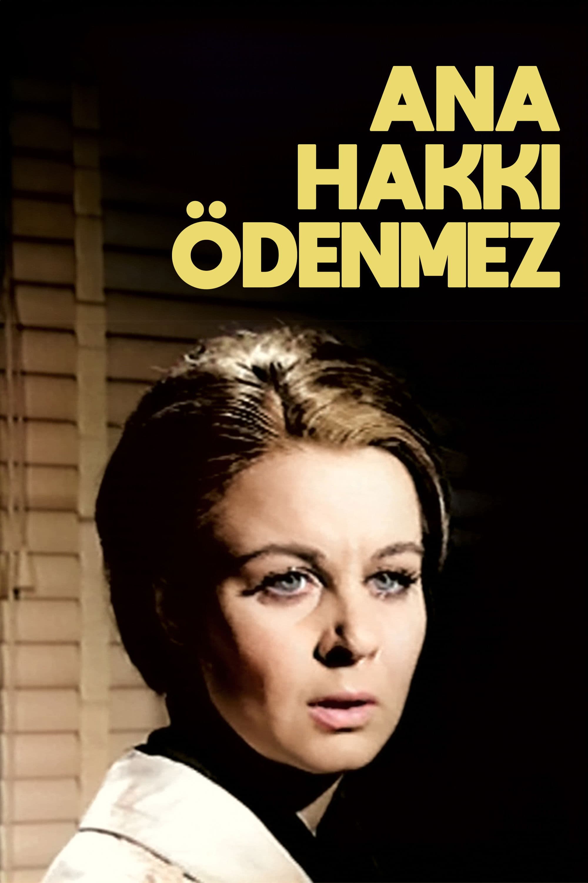 Poster backdrop for Ana Hakkı Ödenmez