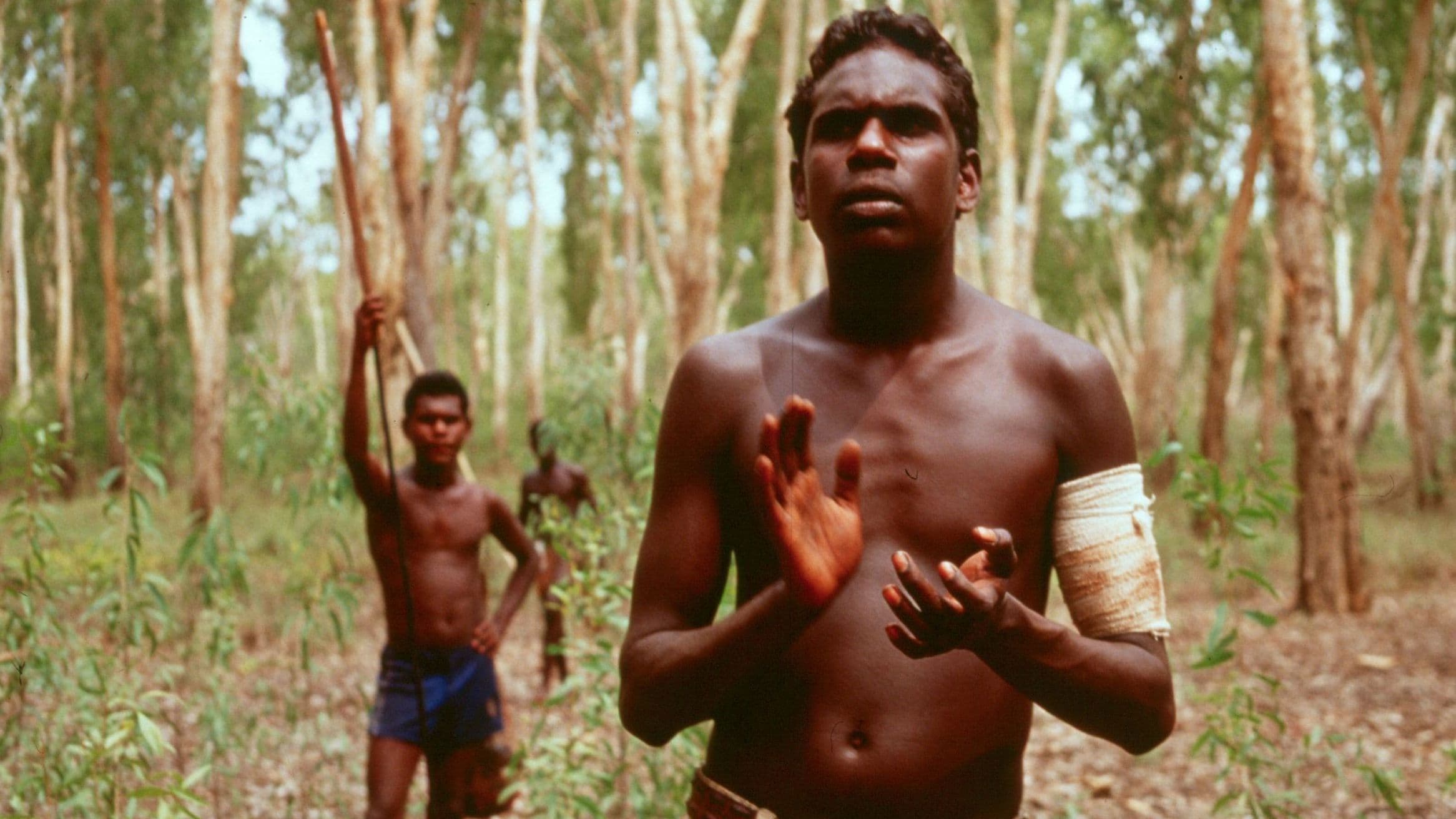Poster backdrop for Yolngu Boy