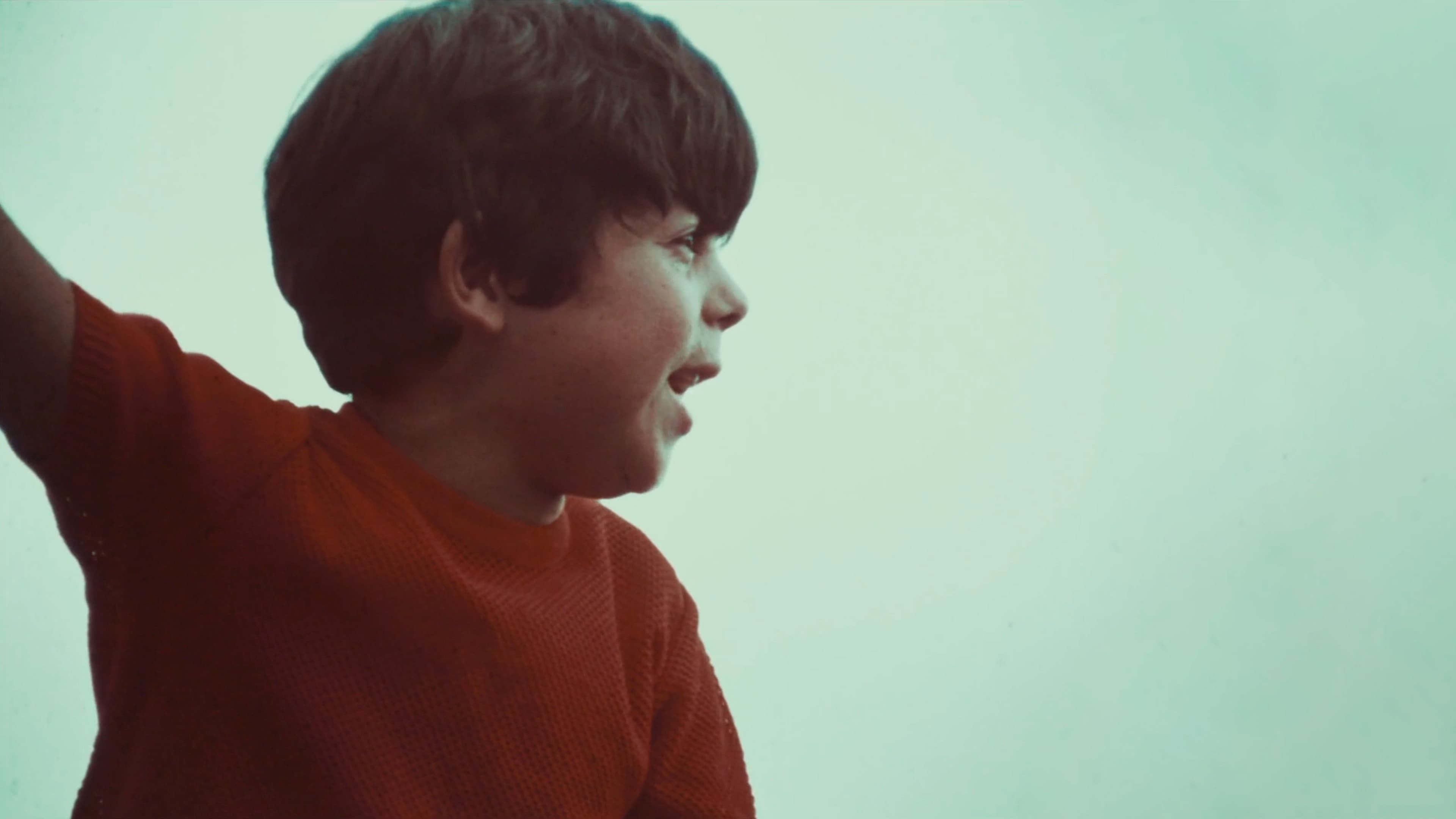 Poster backdrop for The Green Wall