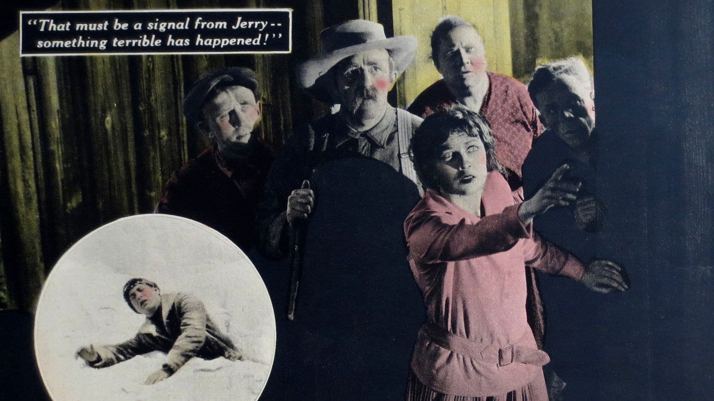 Poster backdrop for Peacock Feathers