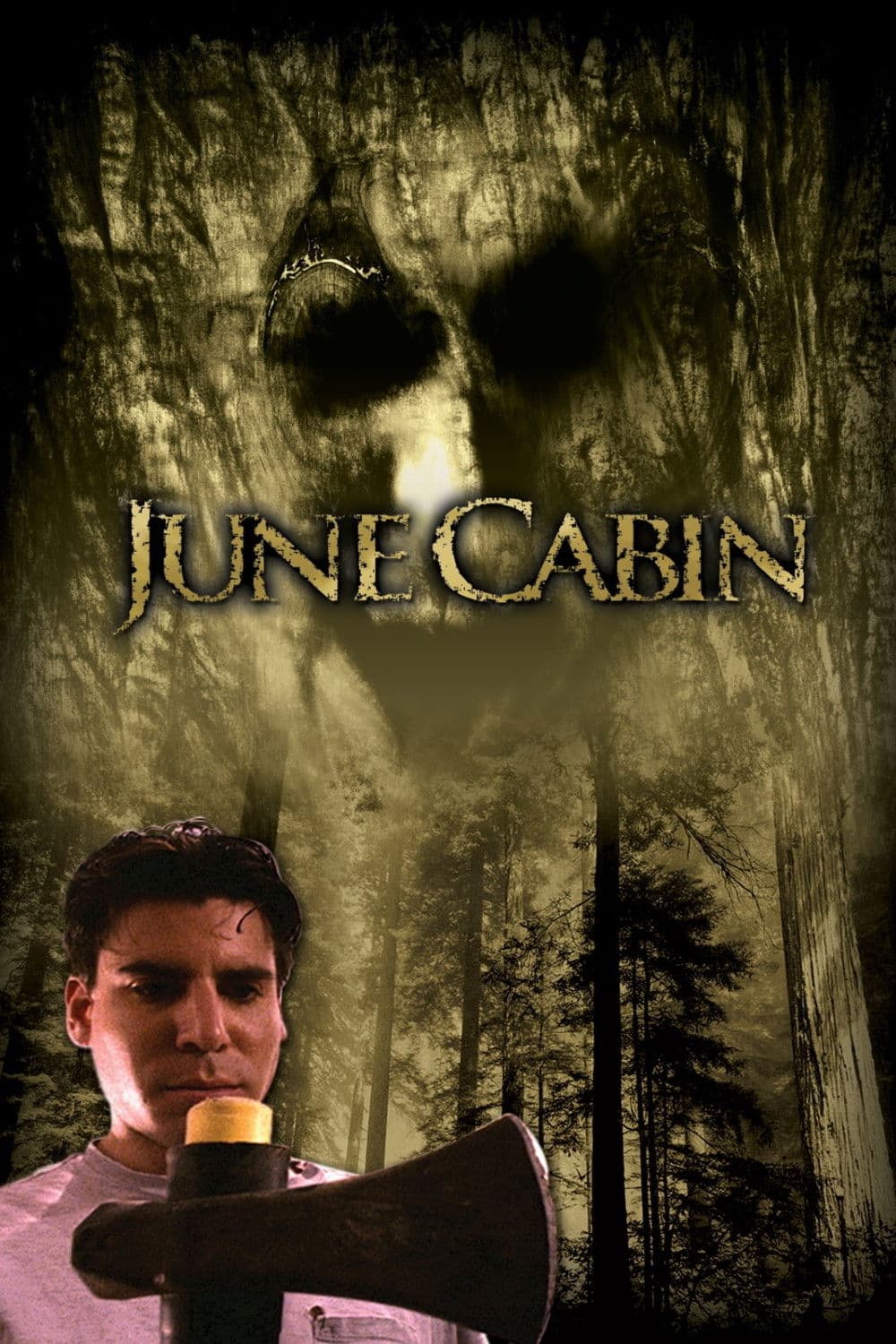 Poster backdrop for June Cabin