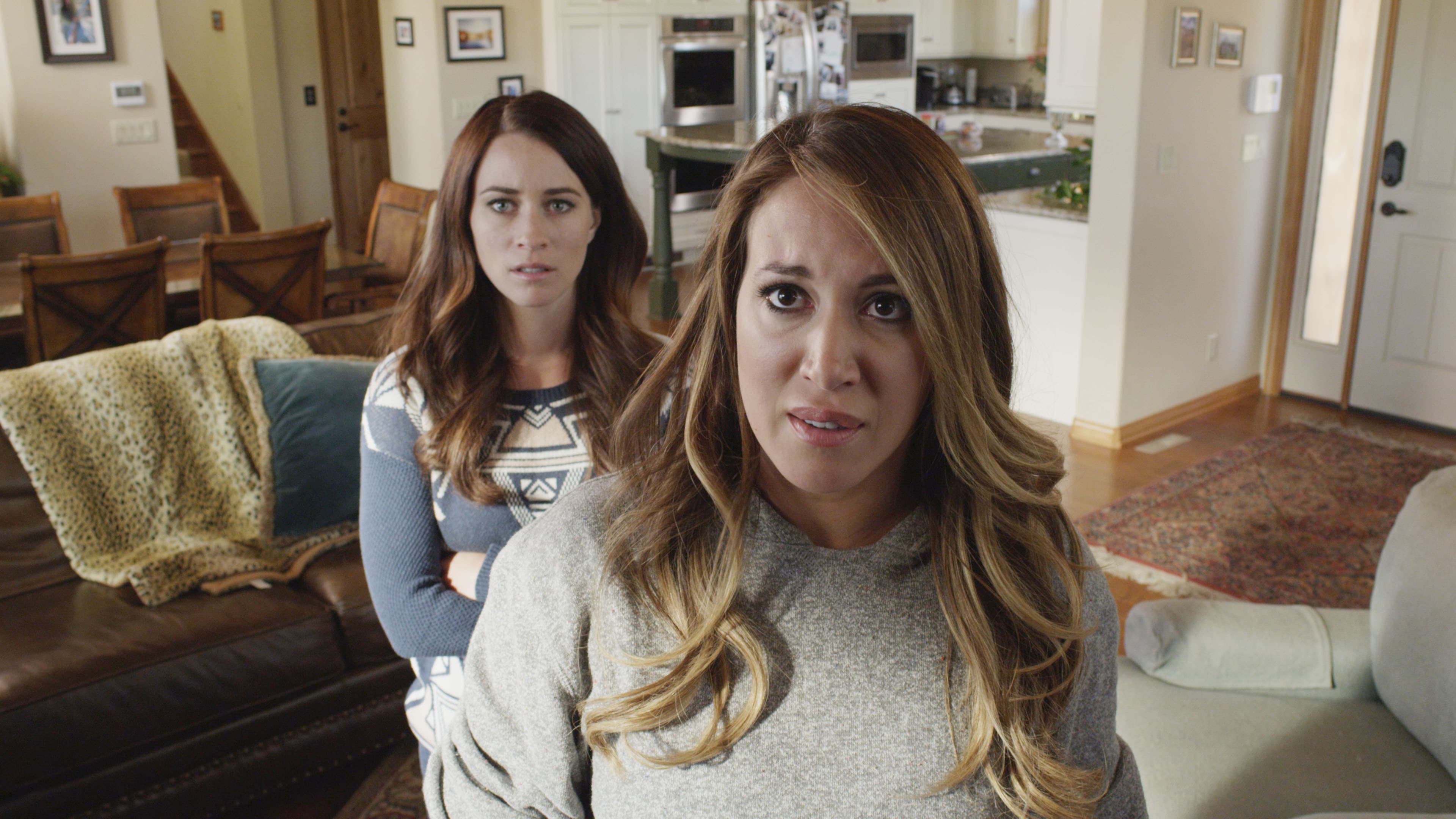 Poster backdrop for His Secret Family