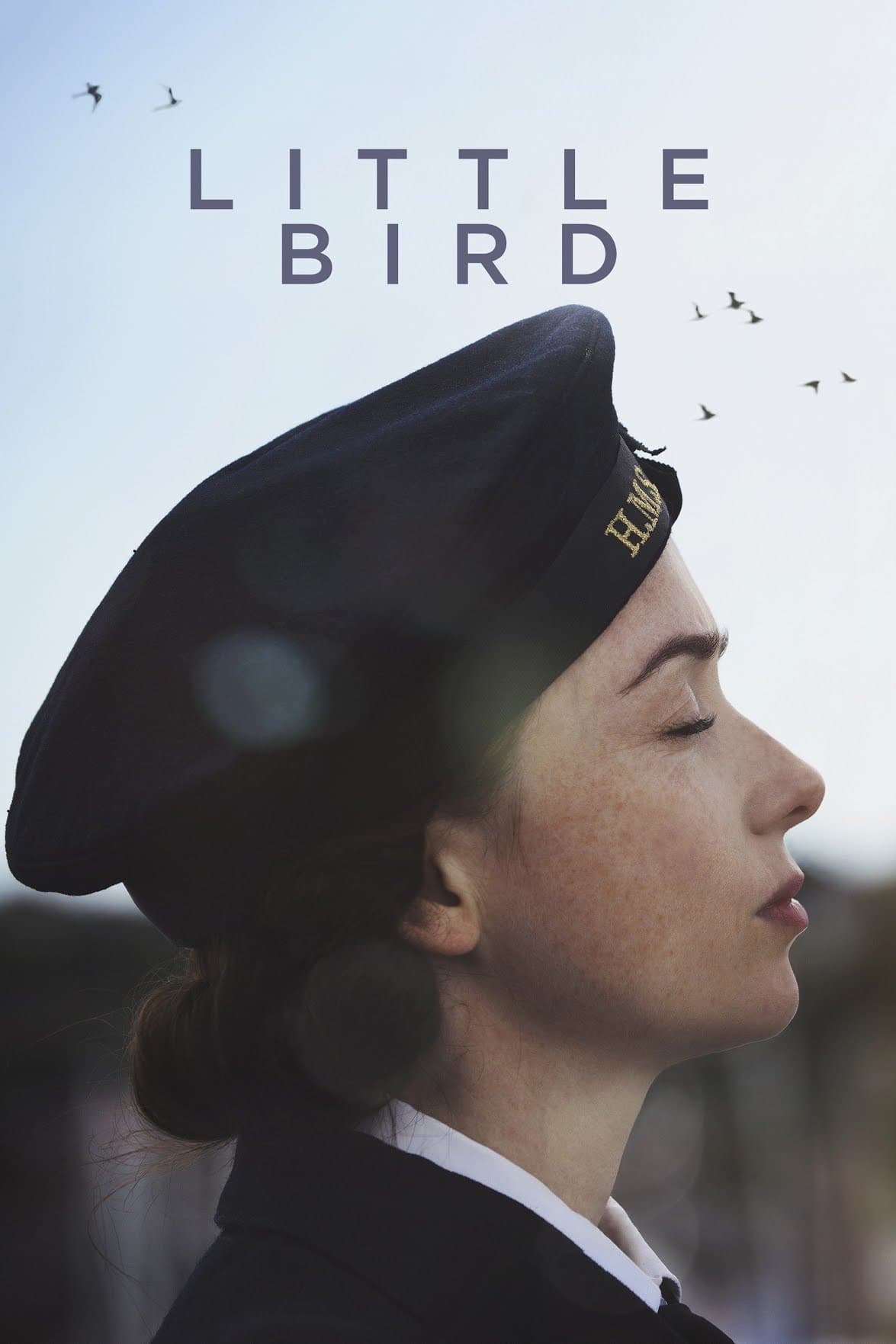 Poster backdrop for Little Bird