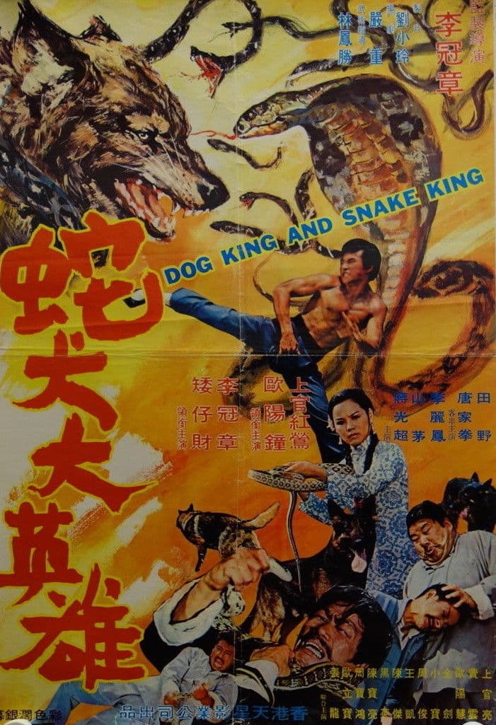 Poster backdrop for Dog King And Snake King