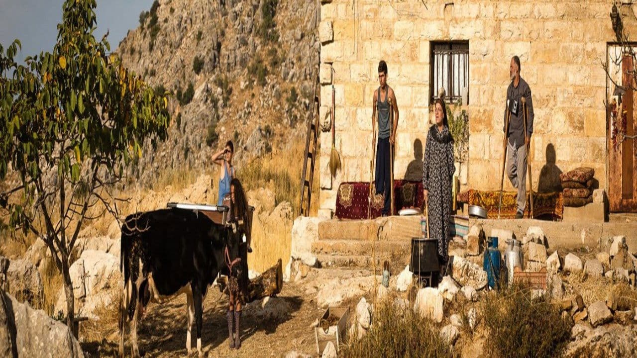 Poster backdrop for Free Range