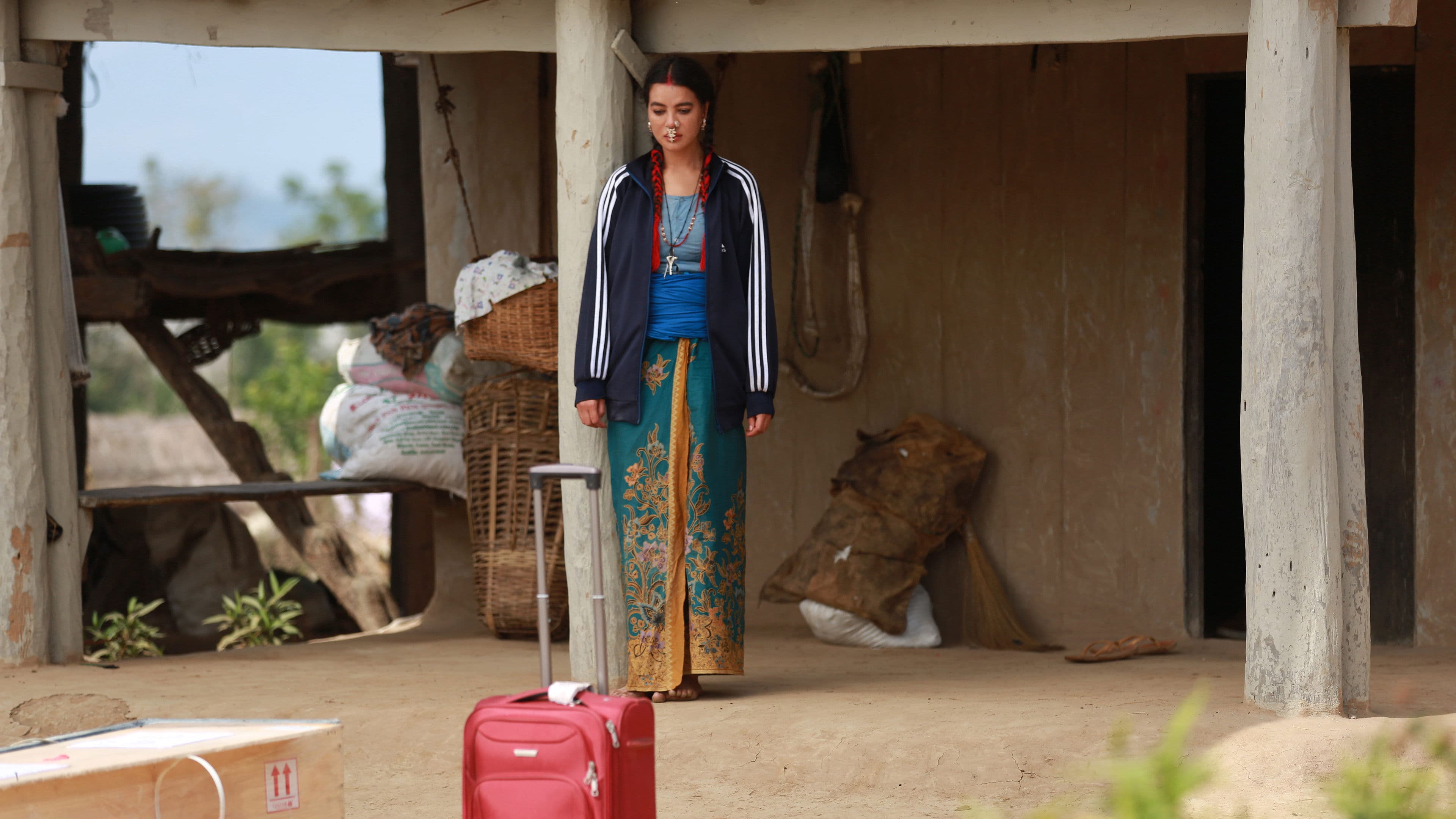 Poster backdrop for The Red Suitcase